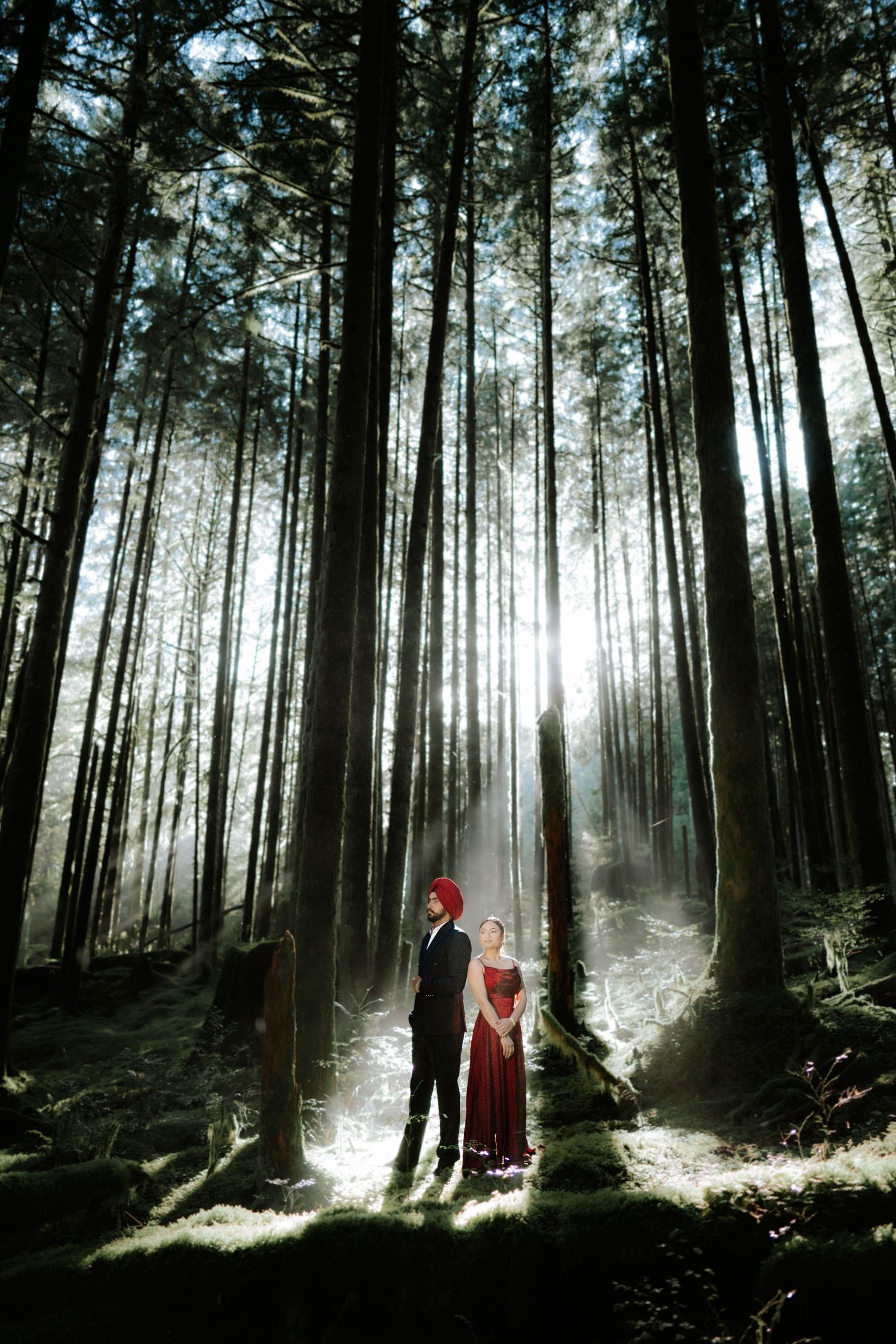 Ethereal forest scene with sunbeams filtering through trees as figures walk among them.