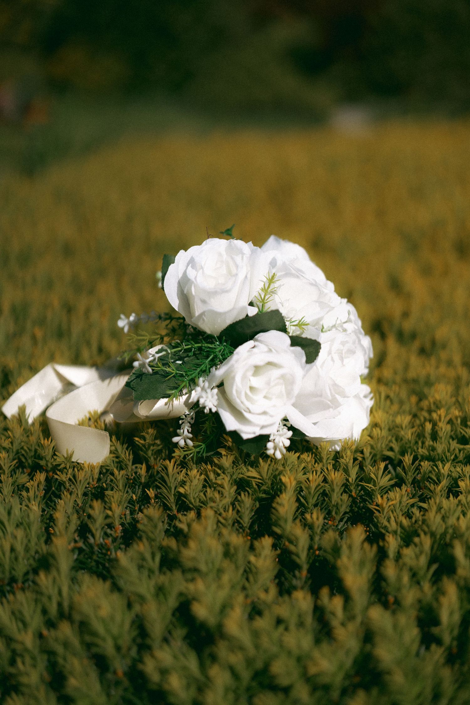 White bridal bouquet of roses with ribbon resting on green shrubs outdoors.