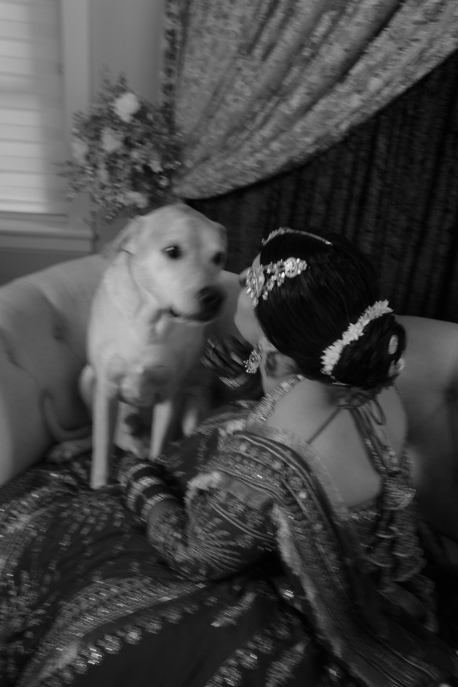 Black and white photo of a bride in ornate attire sharing a tender moment with a white Labrador dog on a sofa.