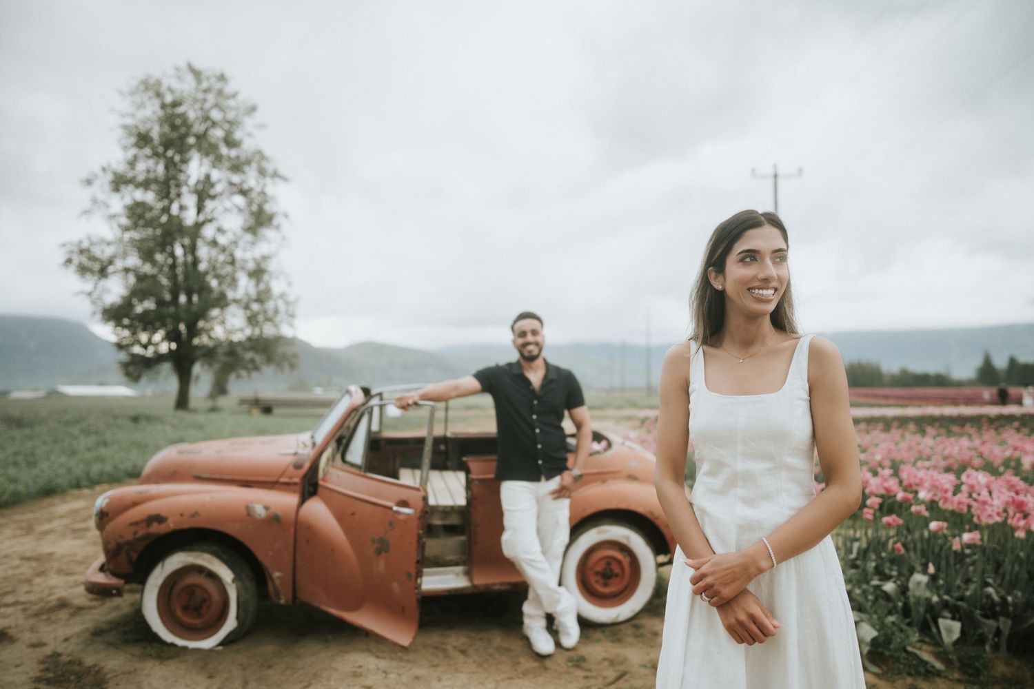 A vintage brown pickup truck sits in a field of vibrant pink flowers against a cloudy mountain backdrop.
