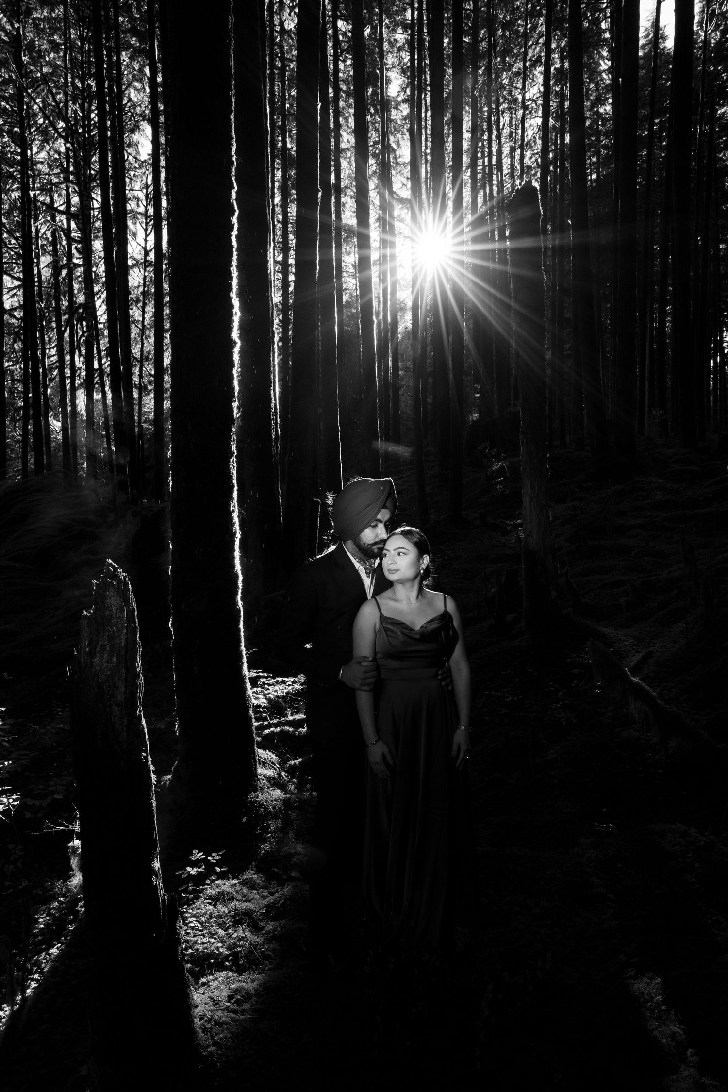 Artistic forest photoshoot with sunbeams piercing through dense pine trees.