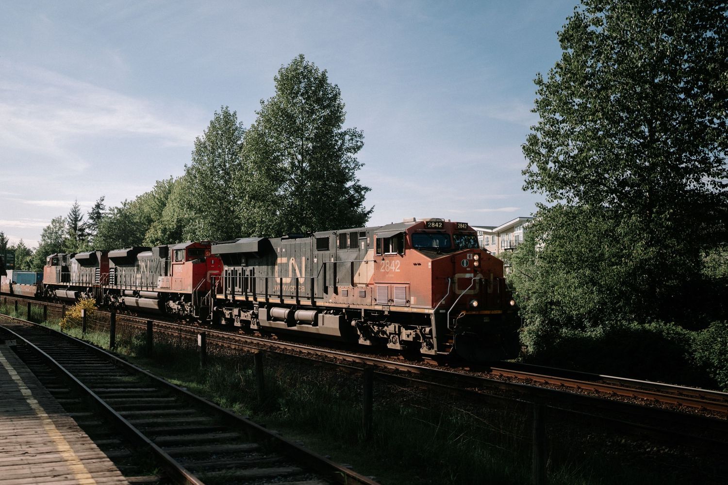 A series of freight train cars carrying cargo on railroad tracks through a wooded area on a sunny day.