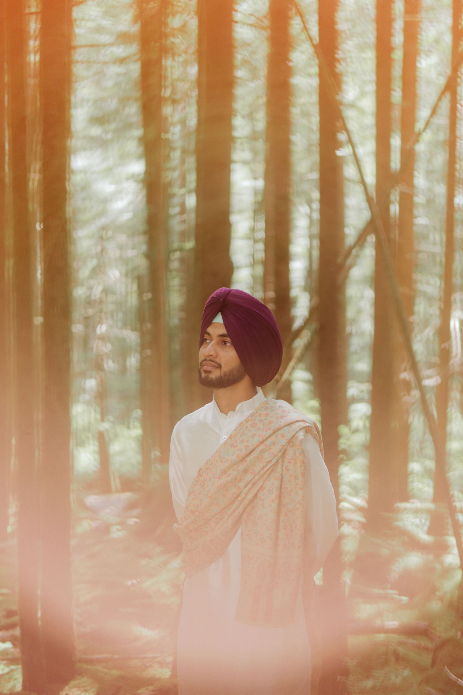 Sikh man in purple turban and white kurta standing in sunlit forest.