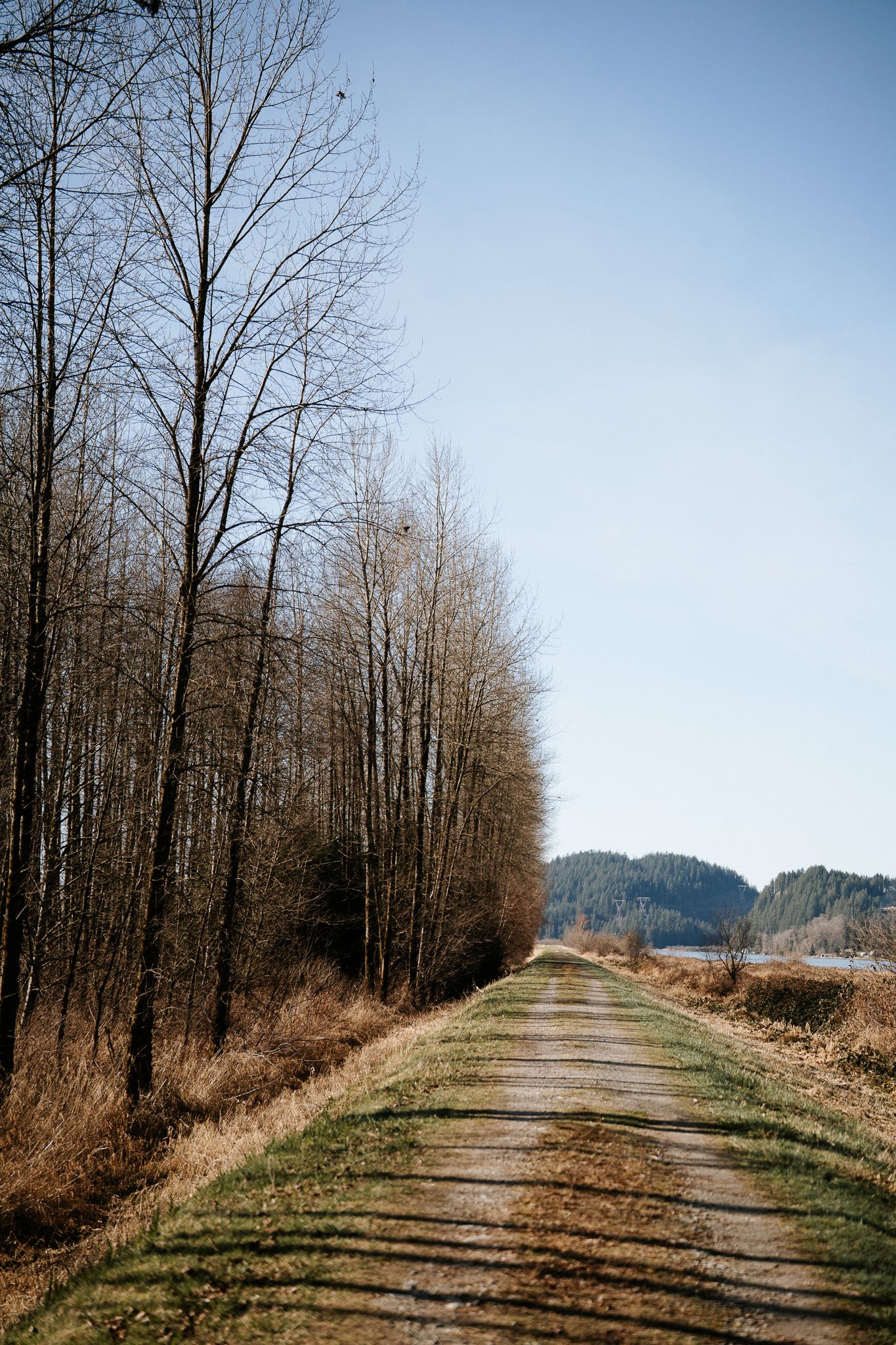 A dirt trail through bare winter trees leads to distant mountains on a clear day.