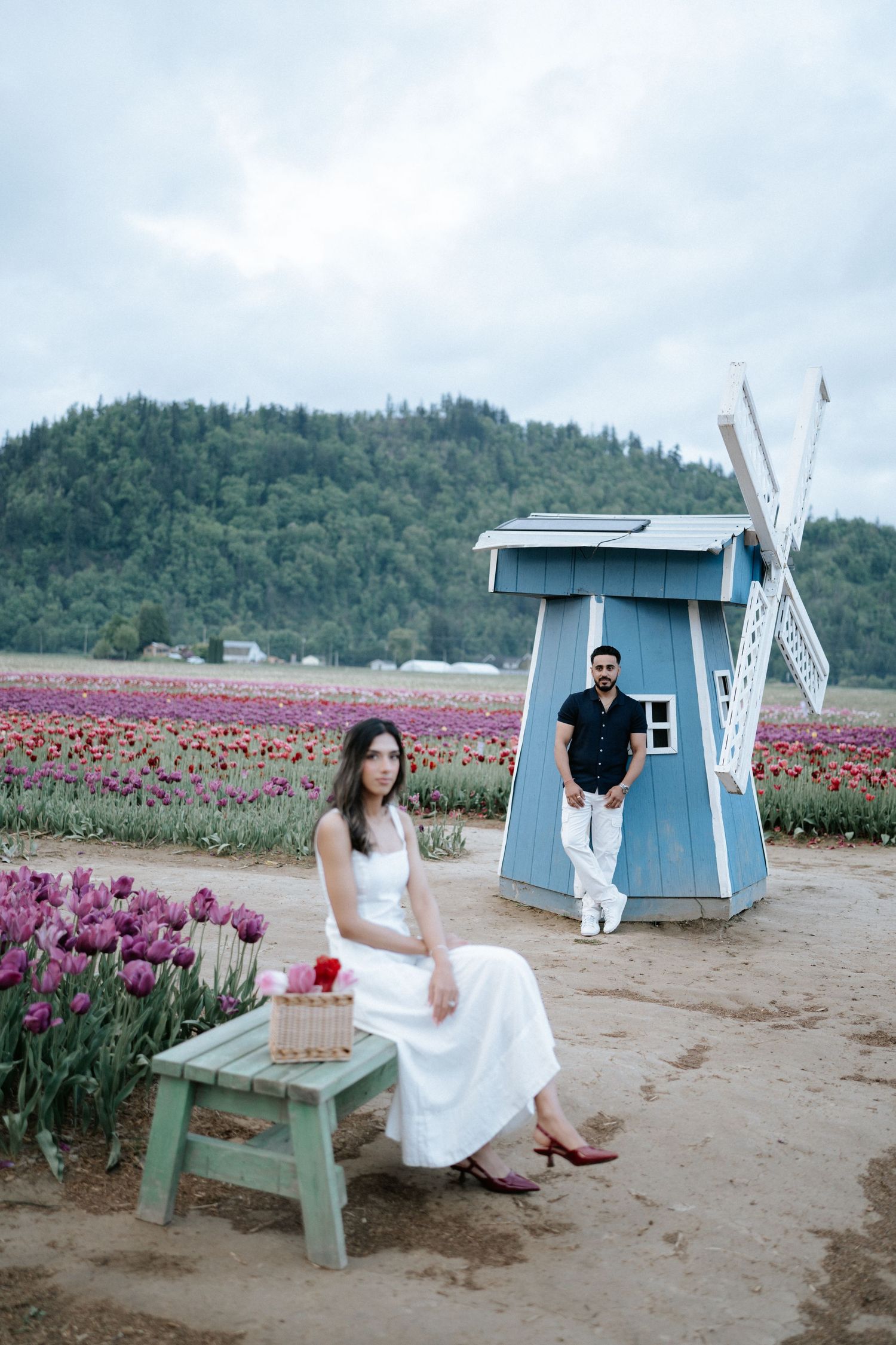 A series of photos showing a blue windmill structure in a blooming tulip field with benches and scenic mountain views.