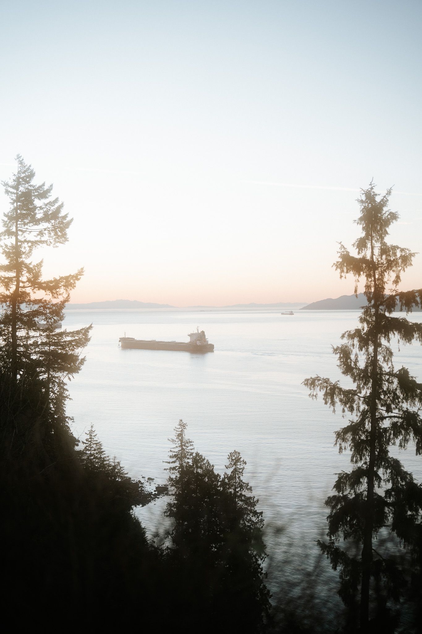 Silhouetted evergreen trees frame a misty ocean view with a cargo ship visible on the horizon at sunset.