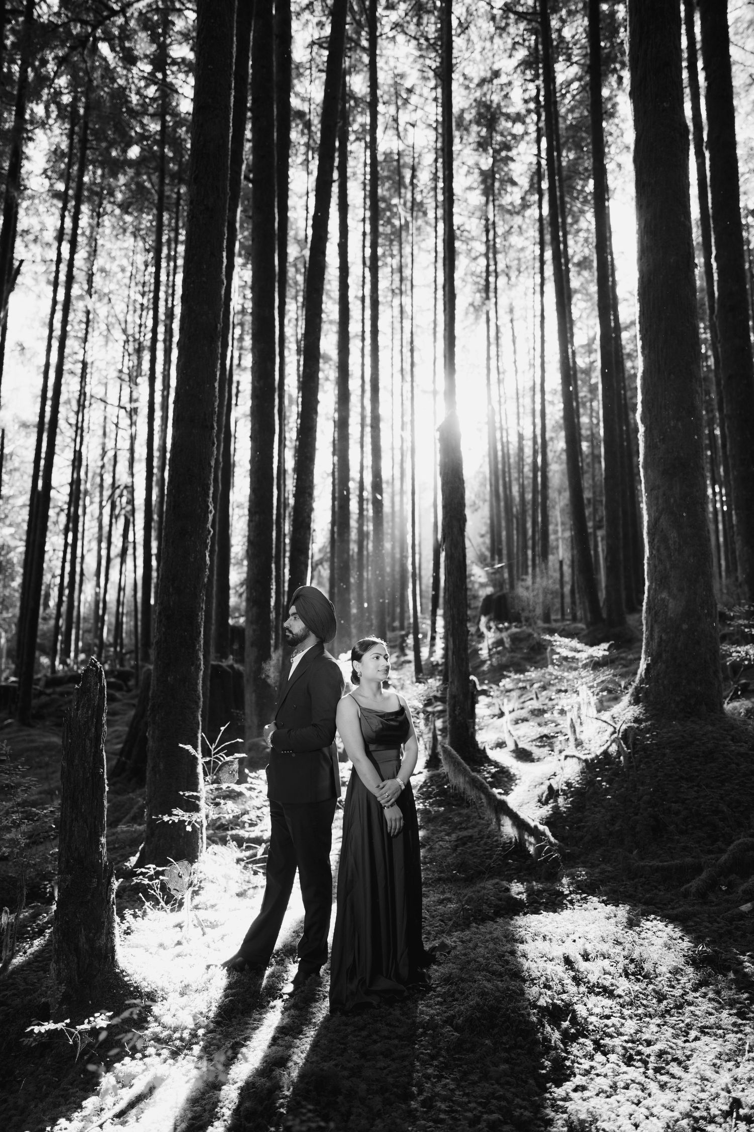 Dramatic forest lighting creates silhouettes as two people walk among tall trees.