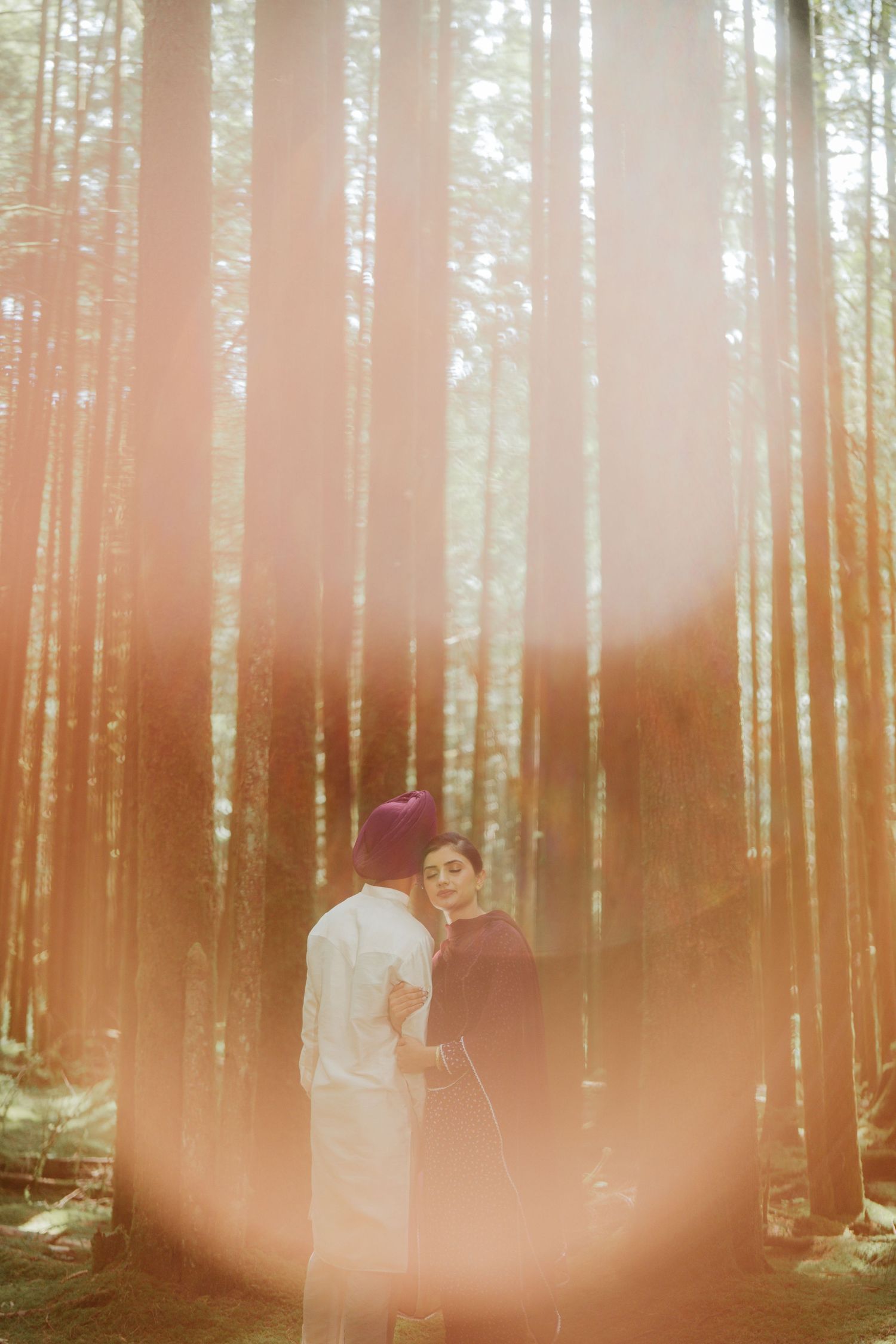 South Asian couple in traditional attire share a romantic moment among tall pine trees with warm lens flare.