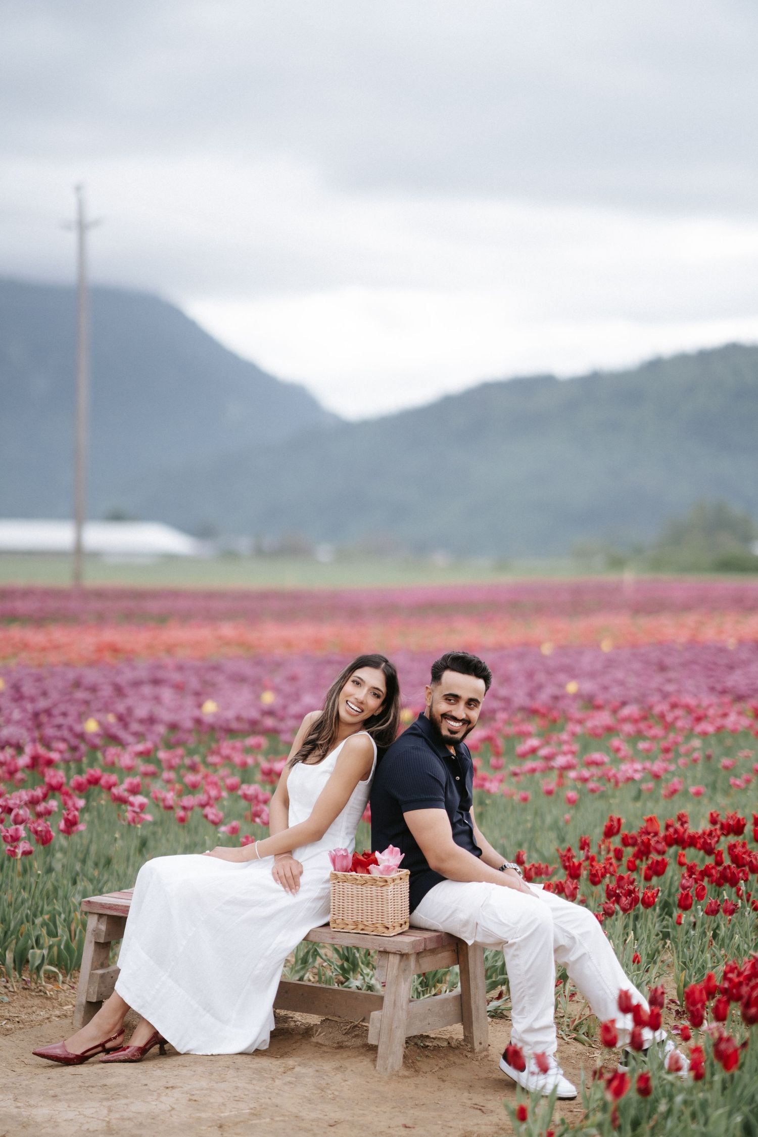 Couple lounges on rustic bench surrounded by vibrant red tulip fields with mountains in the background.