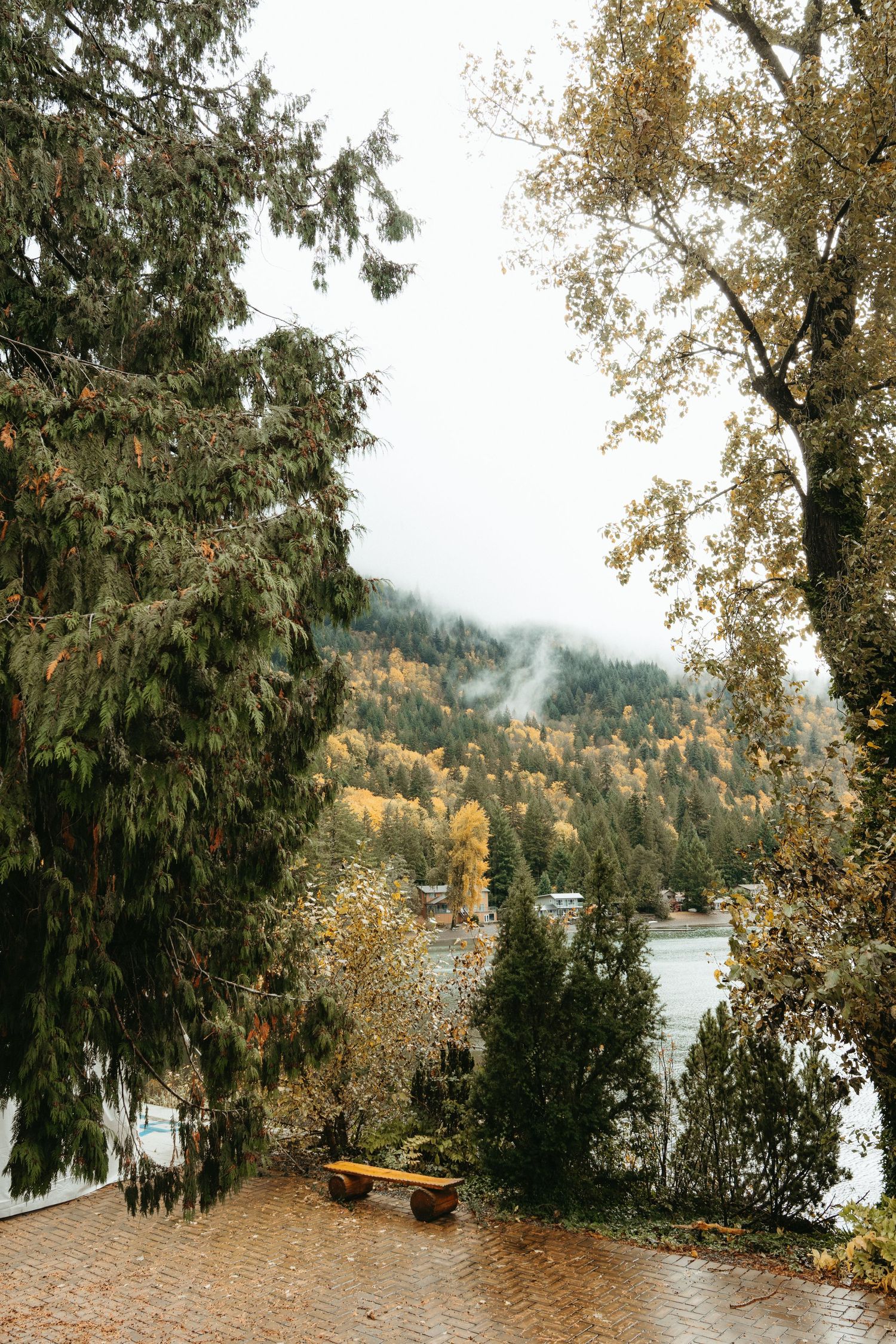 Misty autumn landscape with a wooden bench overlooking a lake surrounded by colorful fall foliage and evergreen trees.