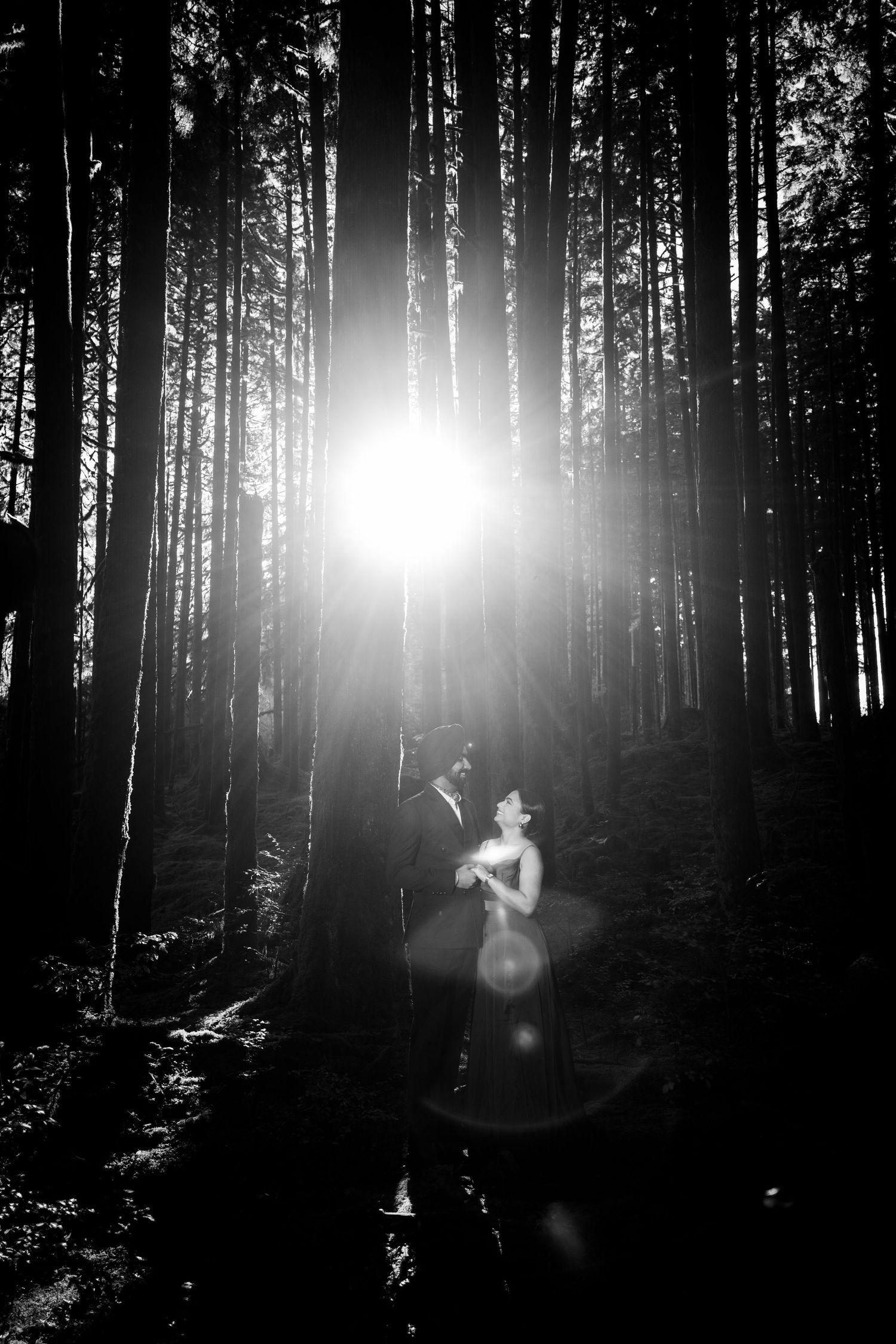Dramatic forest photography with sun flares creating ethereal lighting effects through tall trees.