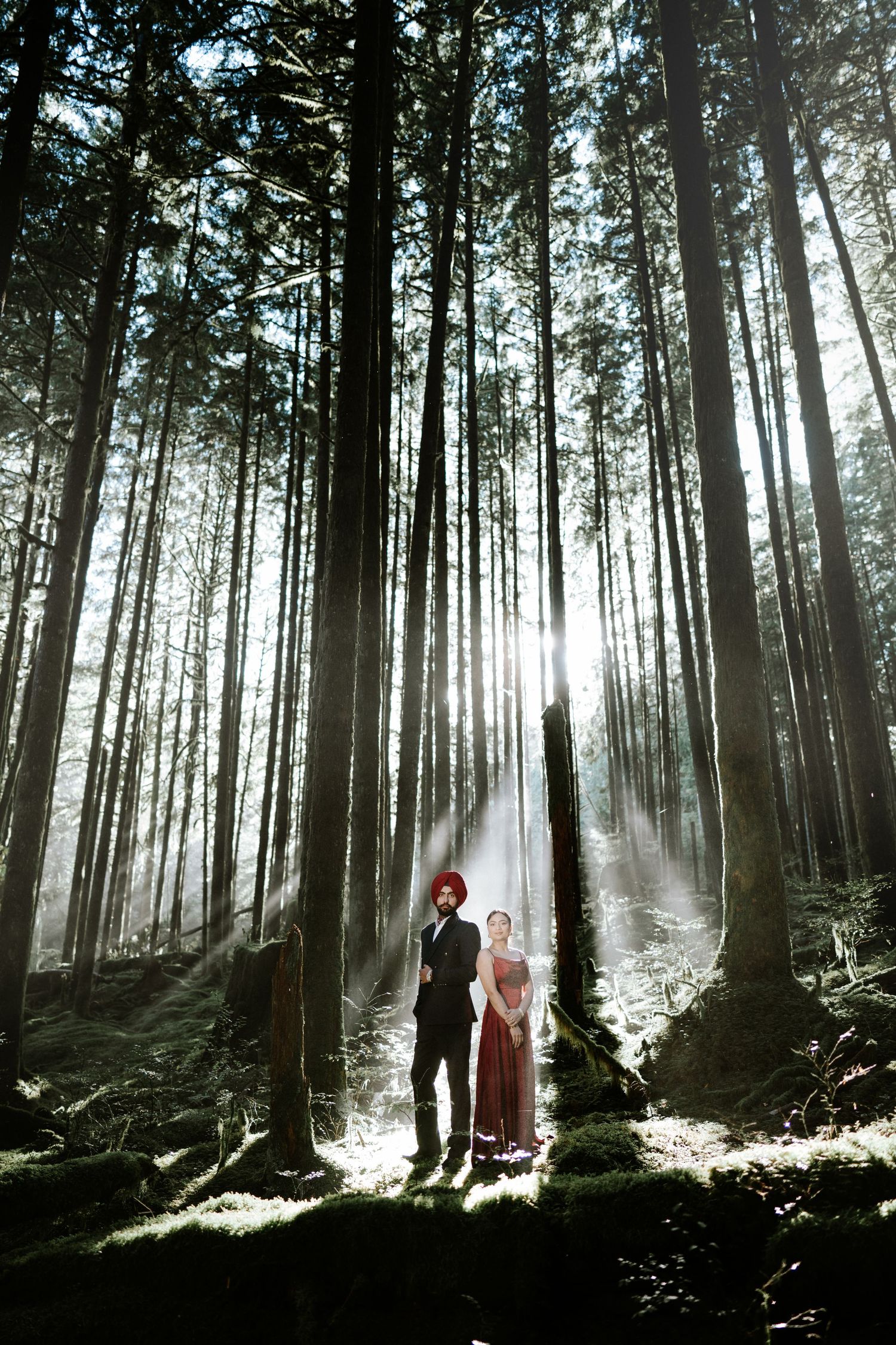 Misty forest scene with sunlight streaming through trees as two people walk beneath.