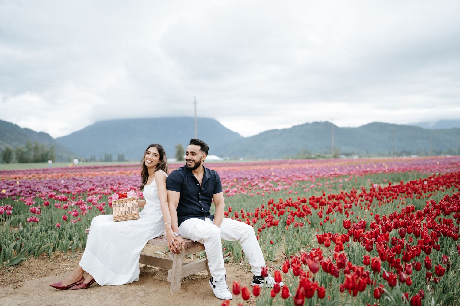 A couple sits on a bench surrounded by vibrant red tulip fields with misty mountains in the background.