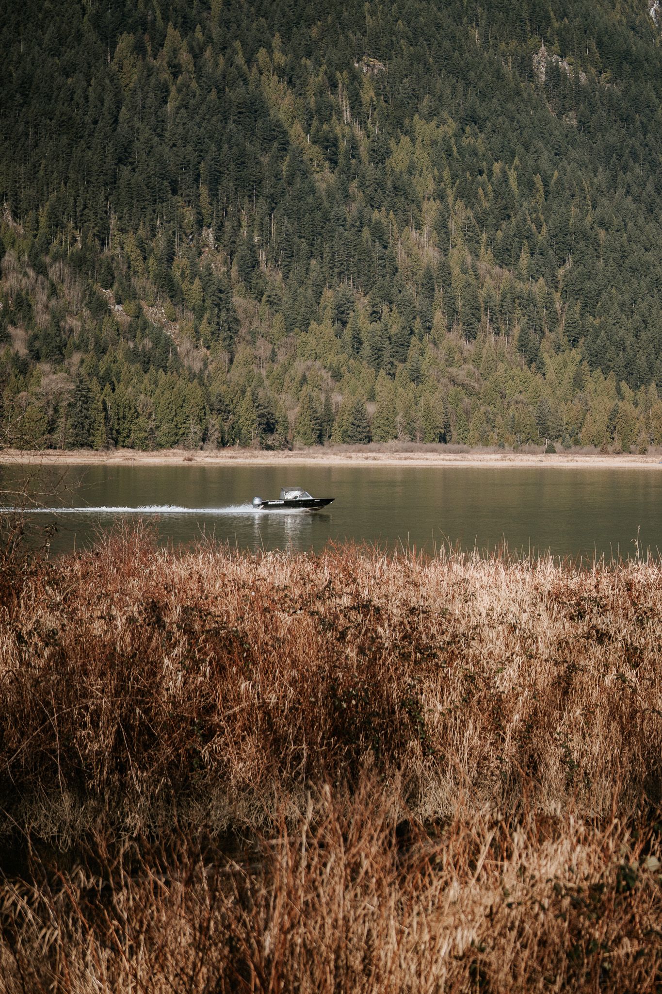 A small boat floats on a tranquil lake surrounded by forested mountains and brown reeds in the foreground.