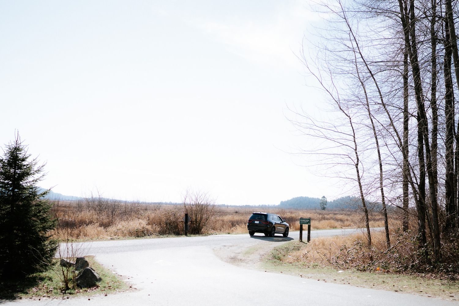A series of winter landscape photos showing snowy fields and bare trees along a rural road.