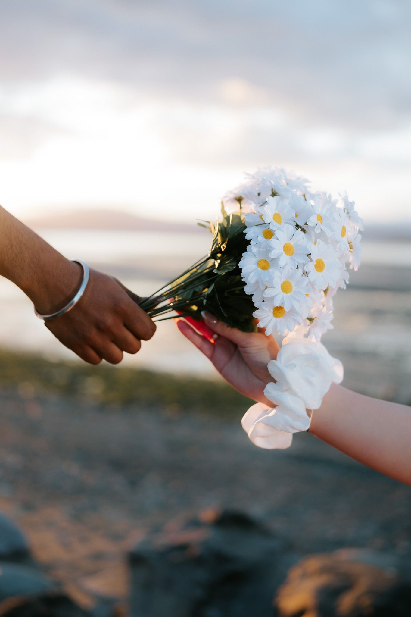 Two hands exchanging a bouquet of white daisies at sunset near a rocky beach.