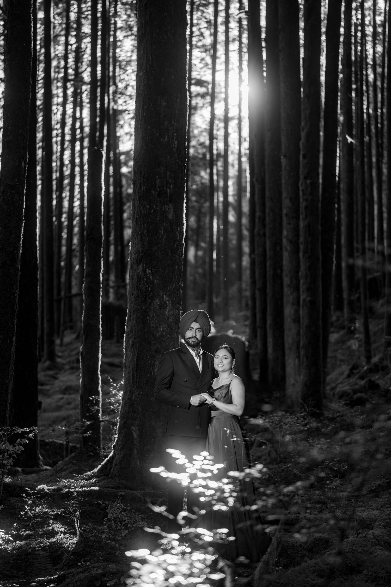 Artistic black and white forest photography series showing sunlight streaming through tall trees.