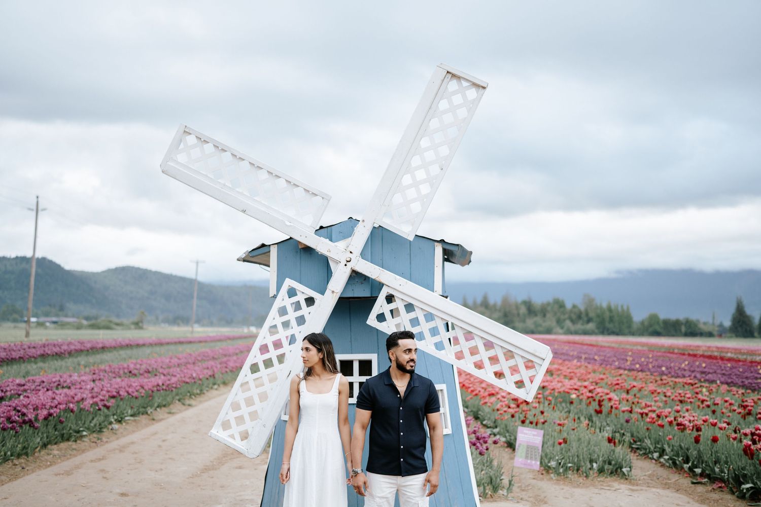 A scenic tulip field in bloom stretches toward distant mountains under cloudy skies with a white decorative frame in view.