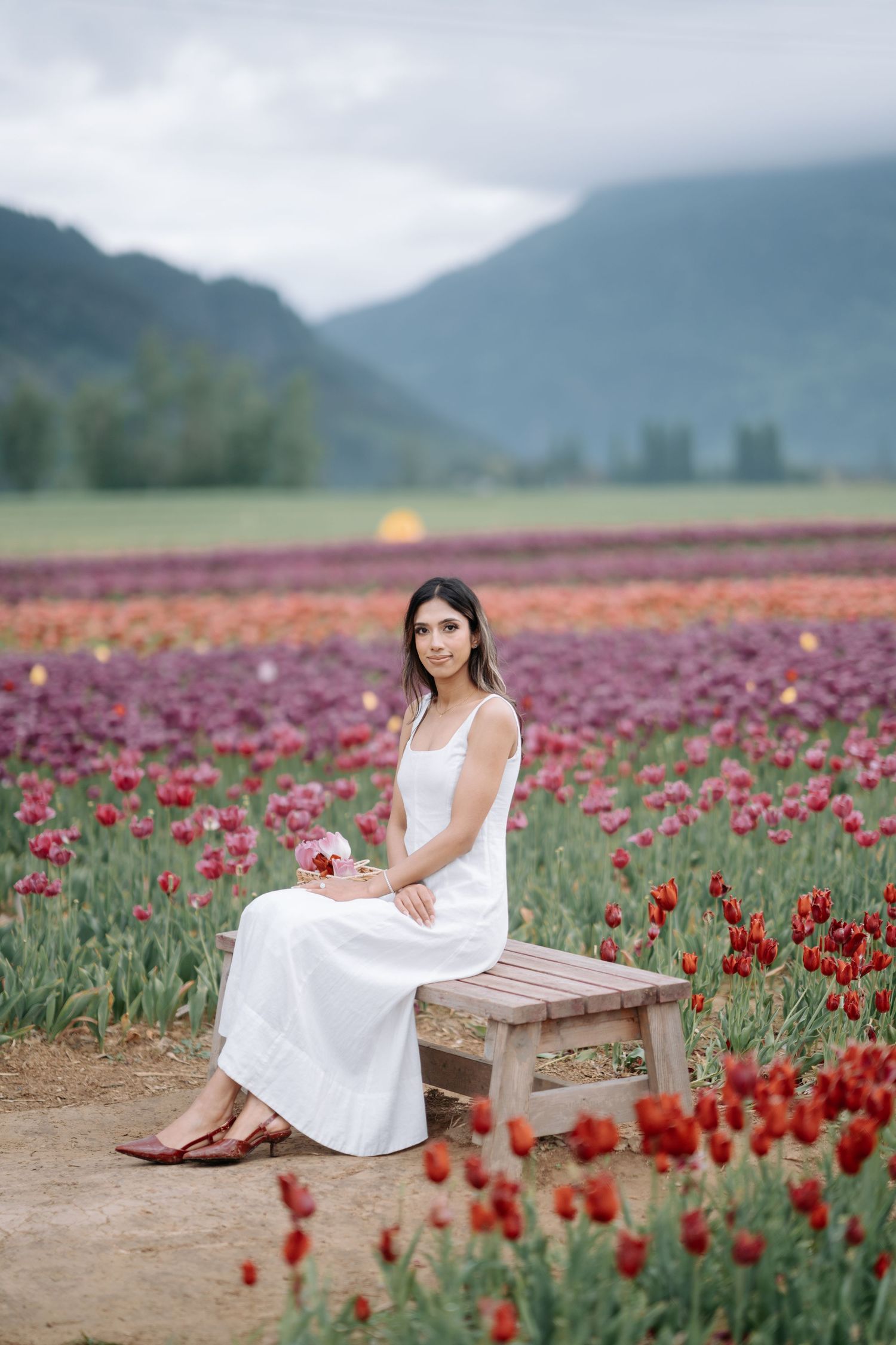 A scenic poppy field stretches toward mountains with someone in a white dress sitting on a wooden bench among red blooms.