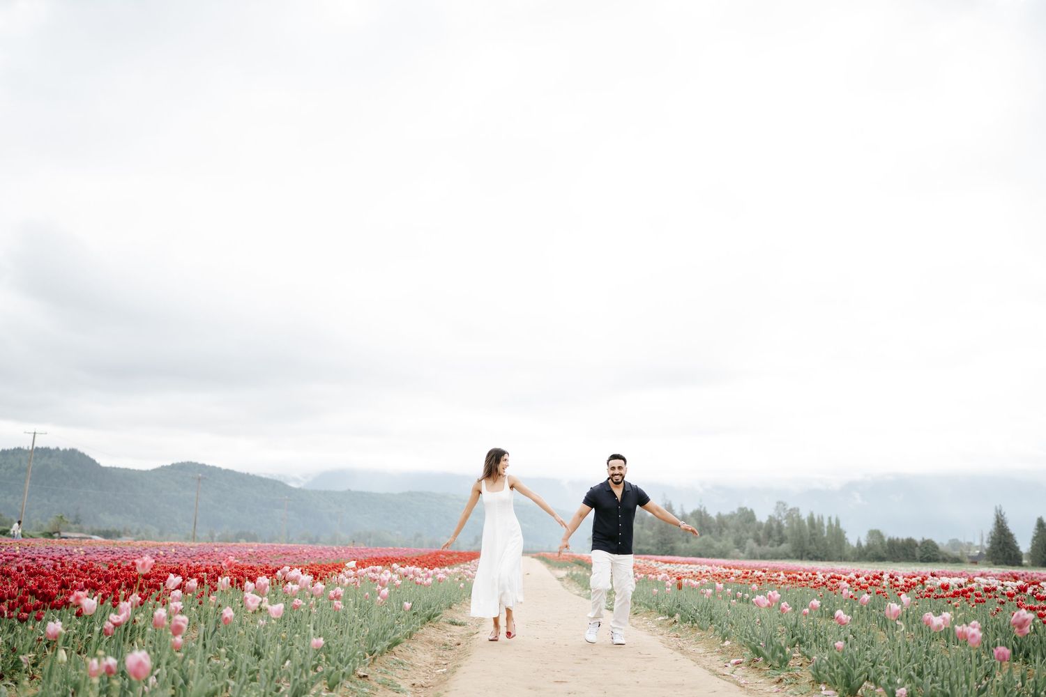 A couple walks hand in hand through a vibrant red tulip field with mountains in the background on an overcast day.