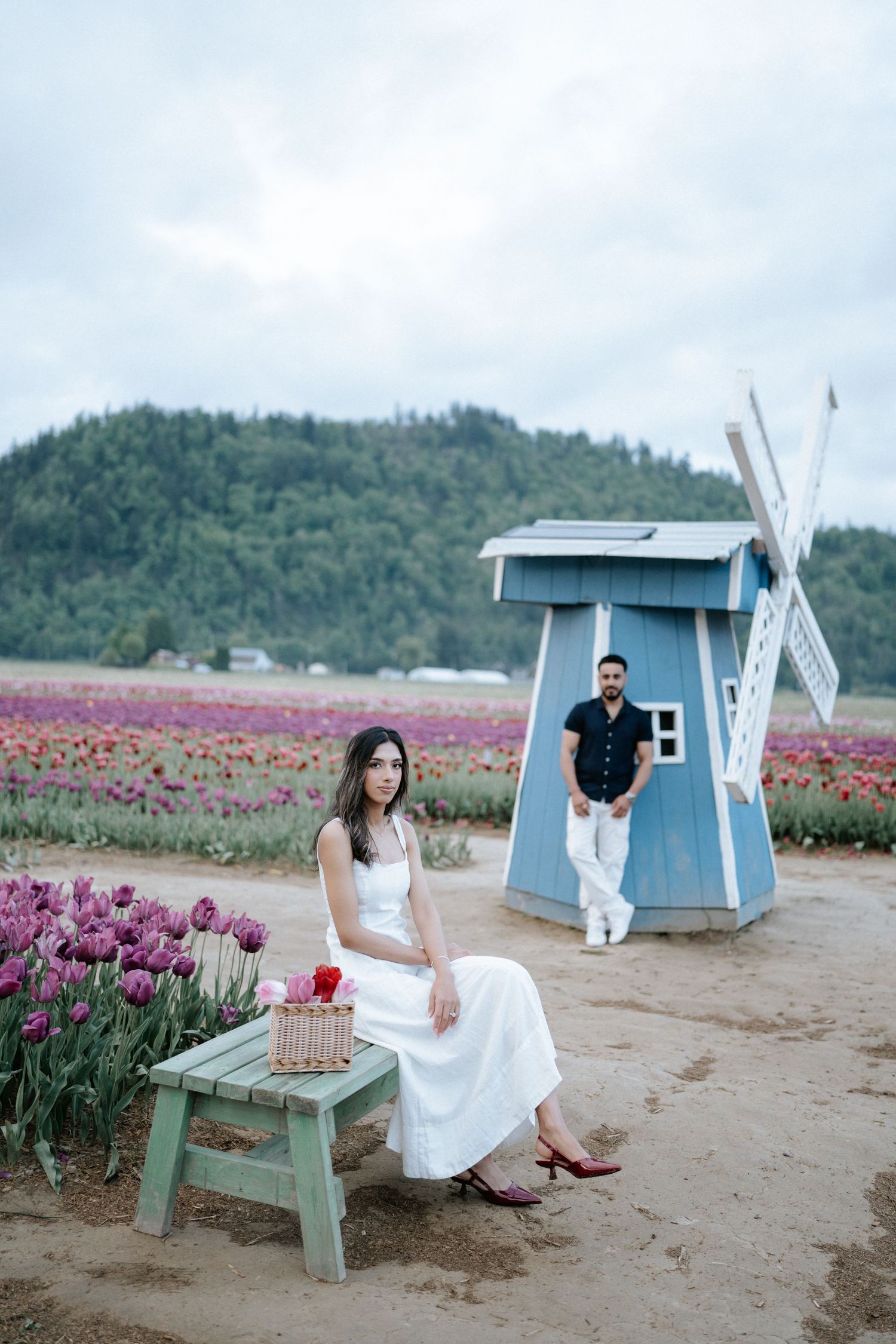 Romantic scene at tulip farm with light blue windmill and mint green bench surrounded by pink and purple flowers.
