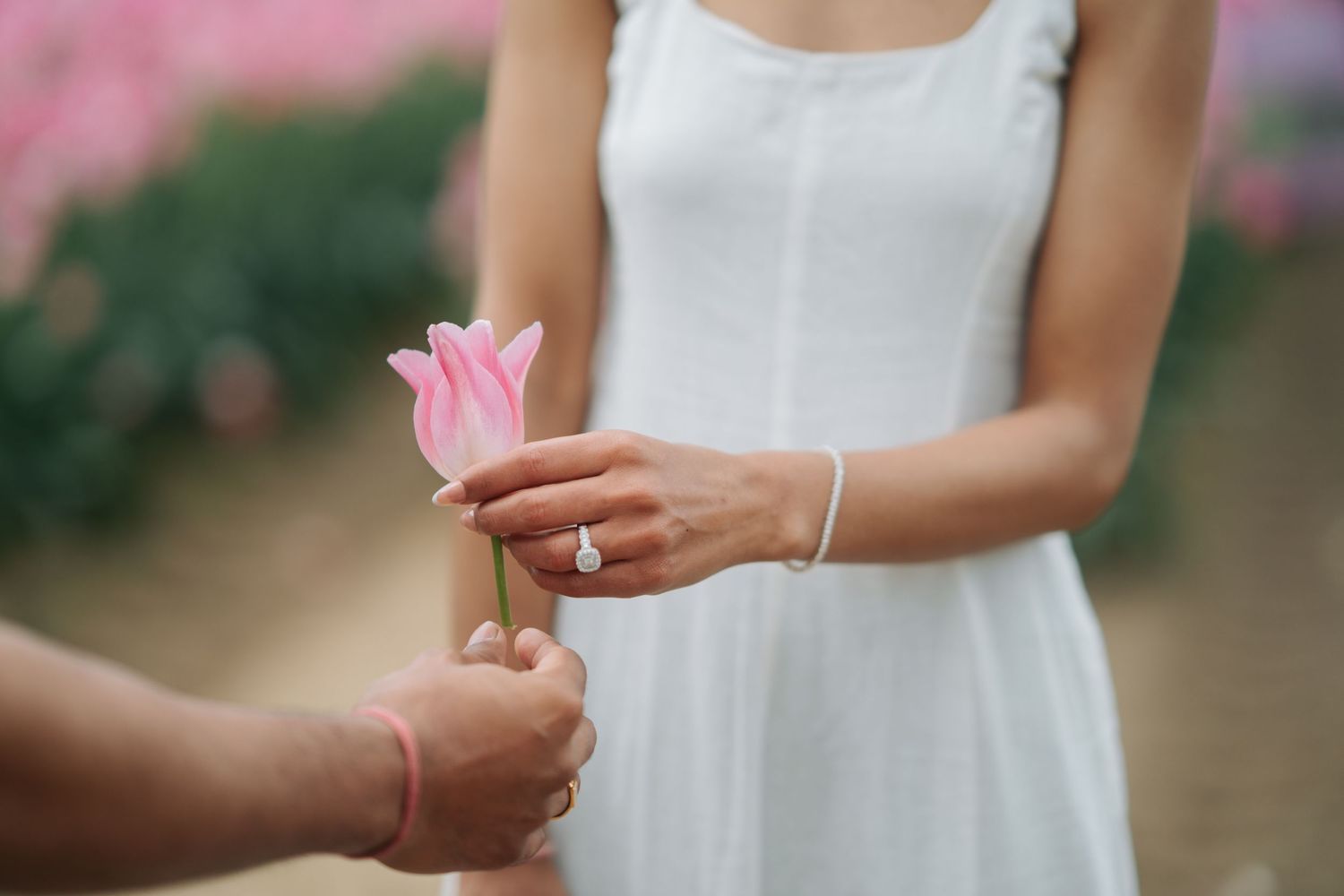 A delicate pink flower petal is gently held between fingers against a soft blurred background.