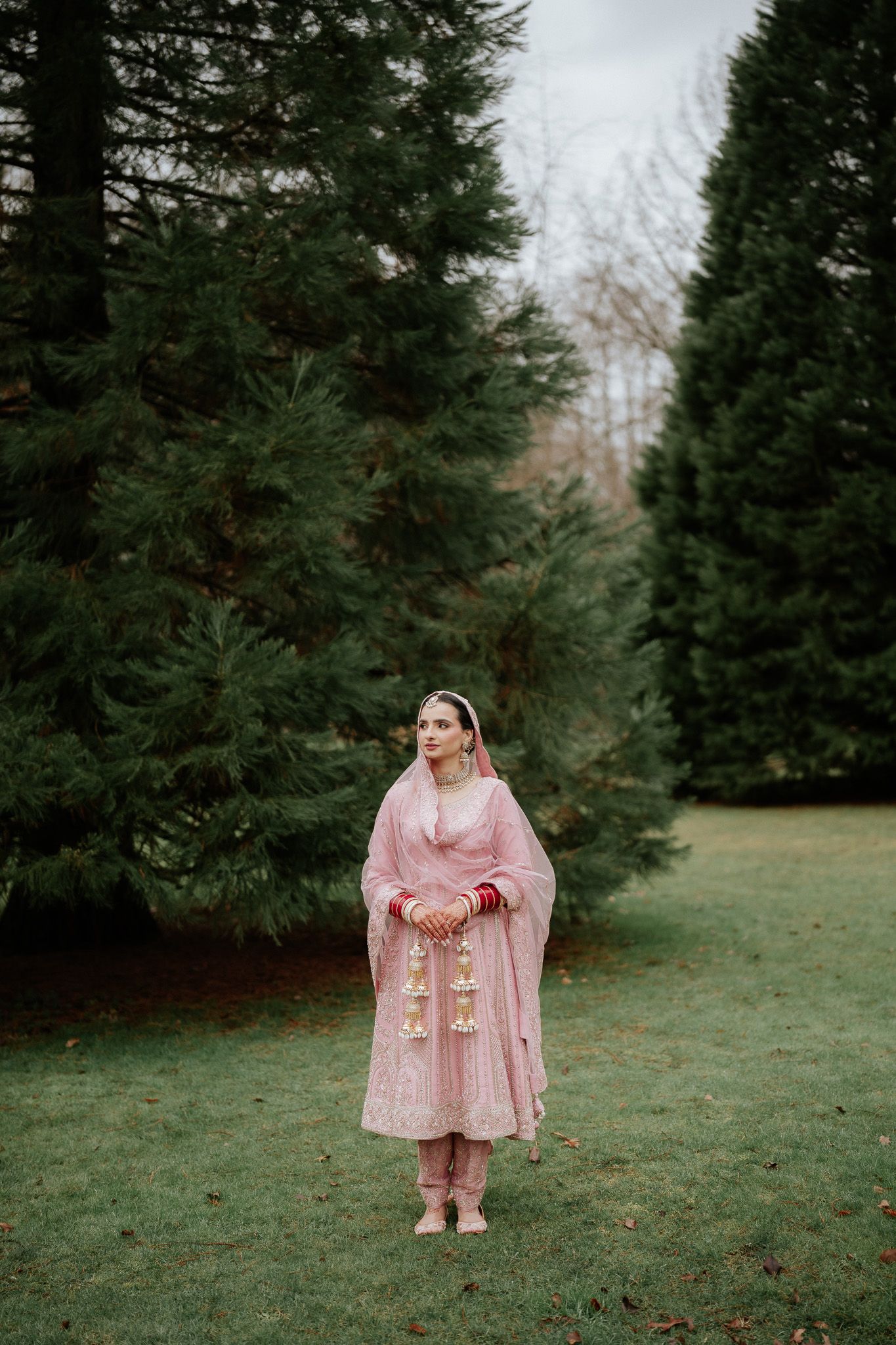 A series of photos capturing someone in a flowing pink dress posing in front of evergreen trees in a park.