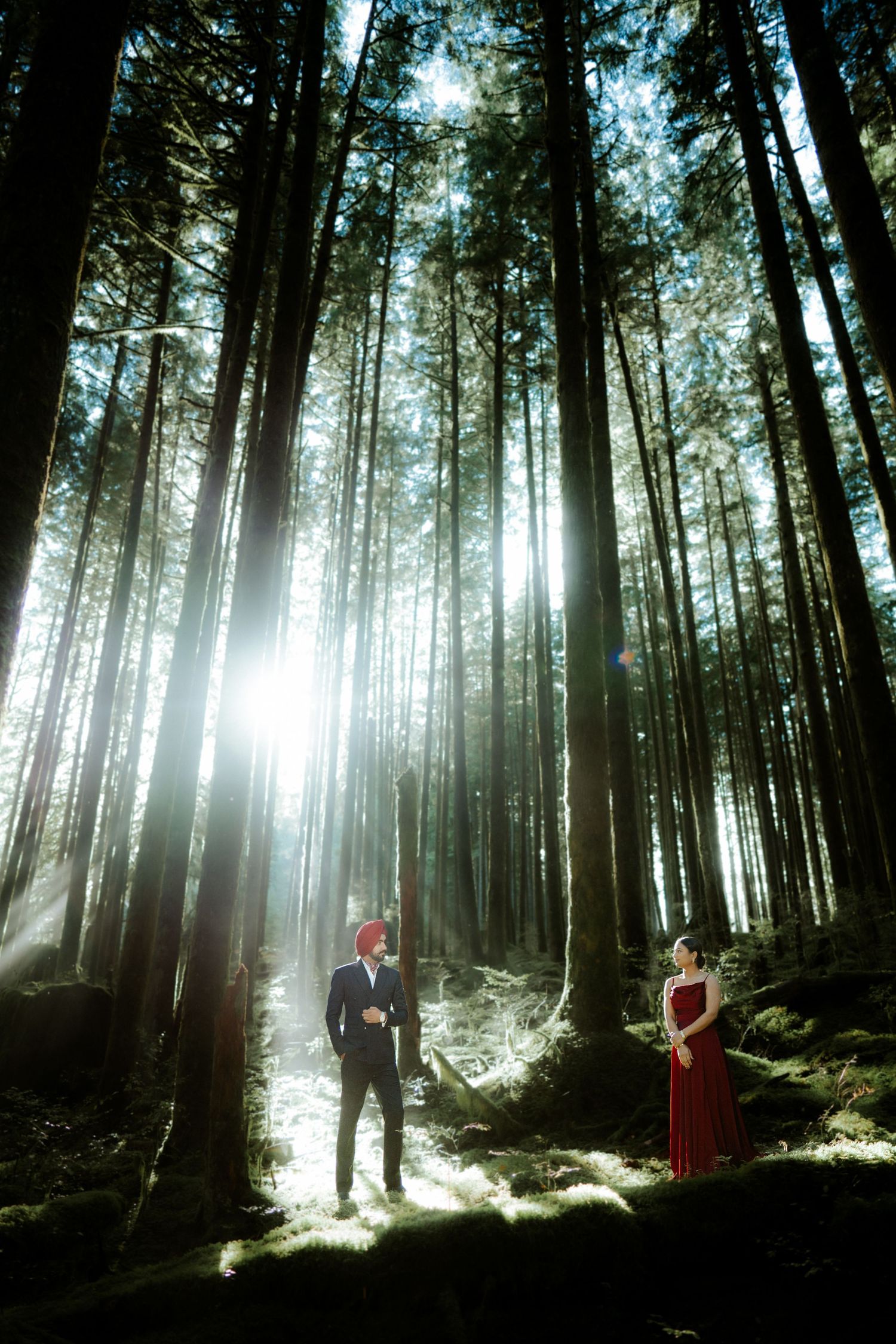 Sunlight streams through tall forest trees creating dramatic lighting around two figures.