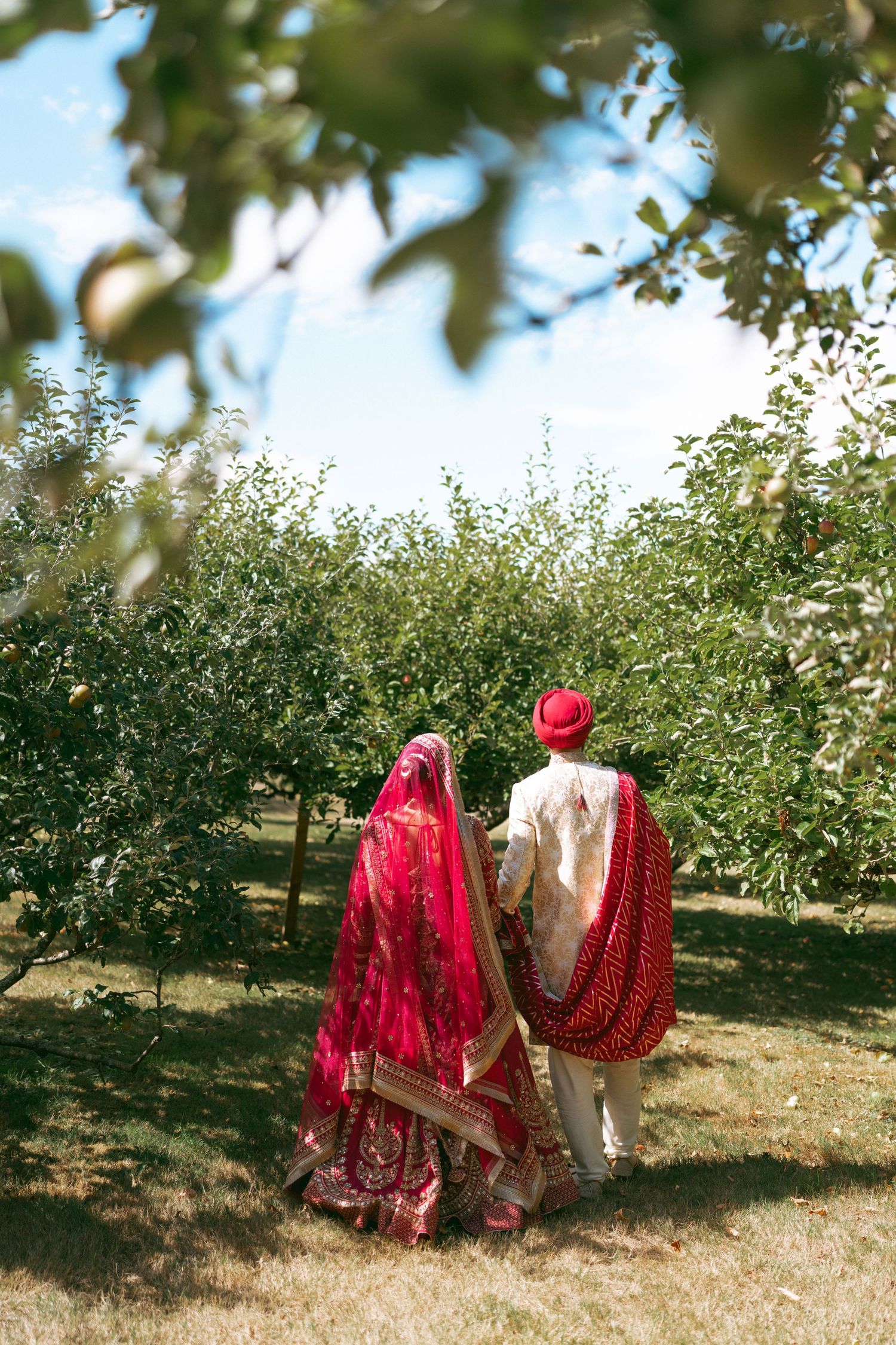 Indian bride and groom in traditional red and gold wedding attire walking through a lush green orchard on their wedding day.