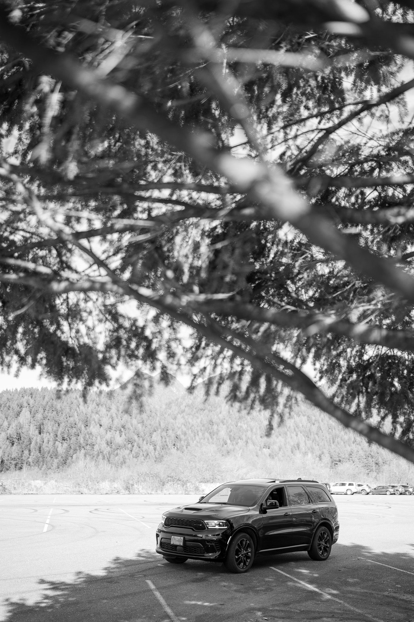 Black luxury Audi RS6 Avant wagon parked in snowy winter landscape beneath evergreen trees.