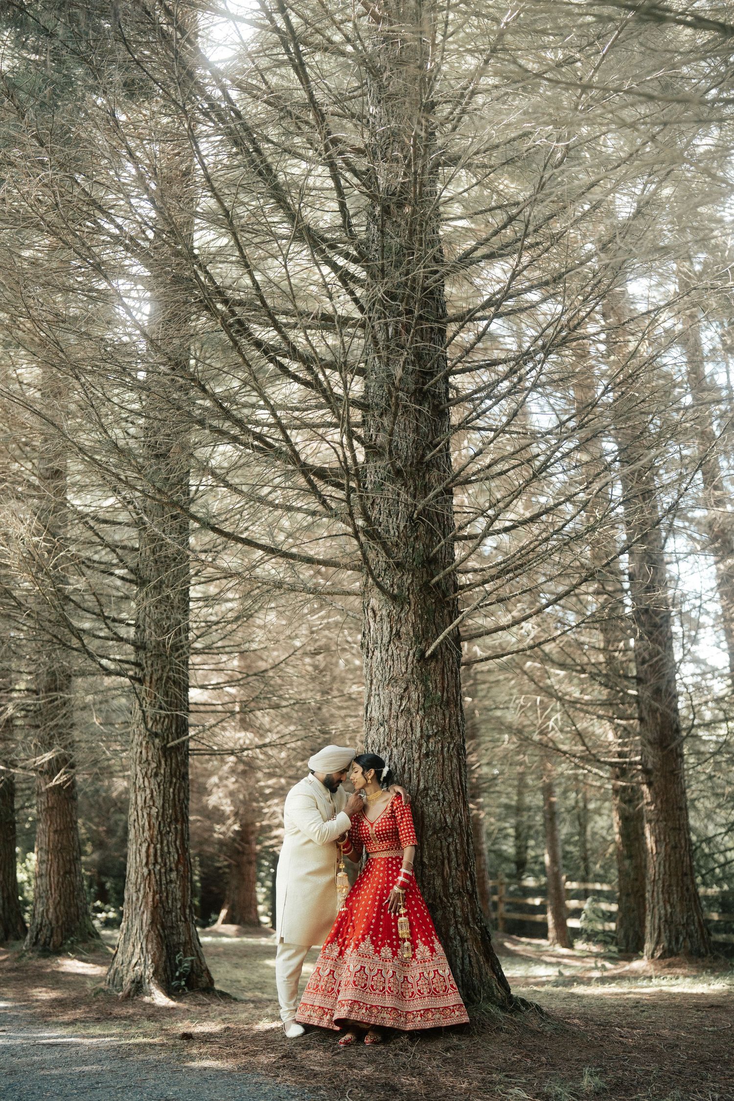 Romantic wedding photography sequence among majestic pine trees in a forest setting.