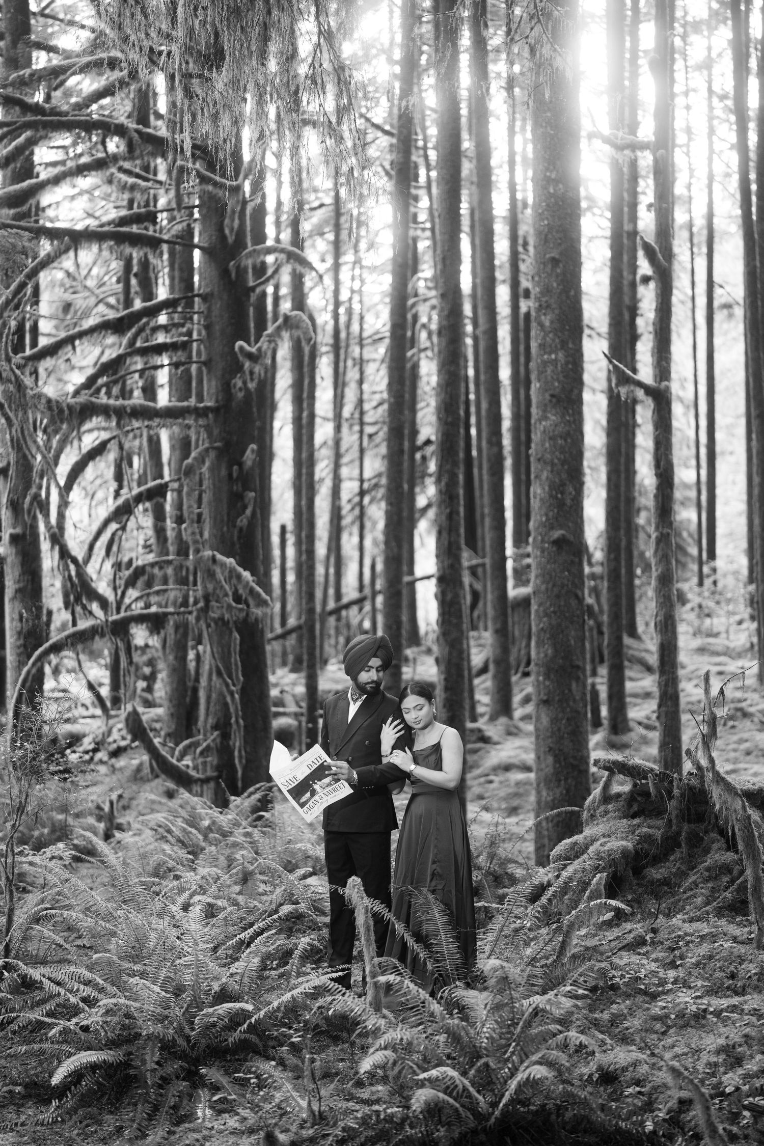 Atmospheric forest photography series with tall trees and dense ferns.