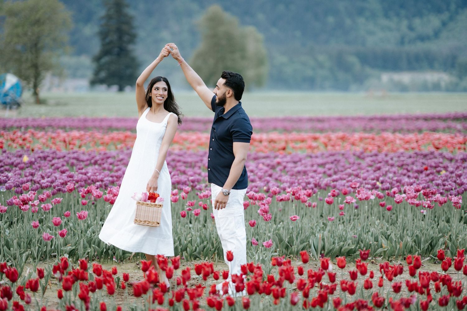 A couple in white outfits walks through vibrant red and pink tulip fields on a spring day.