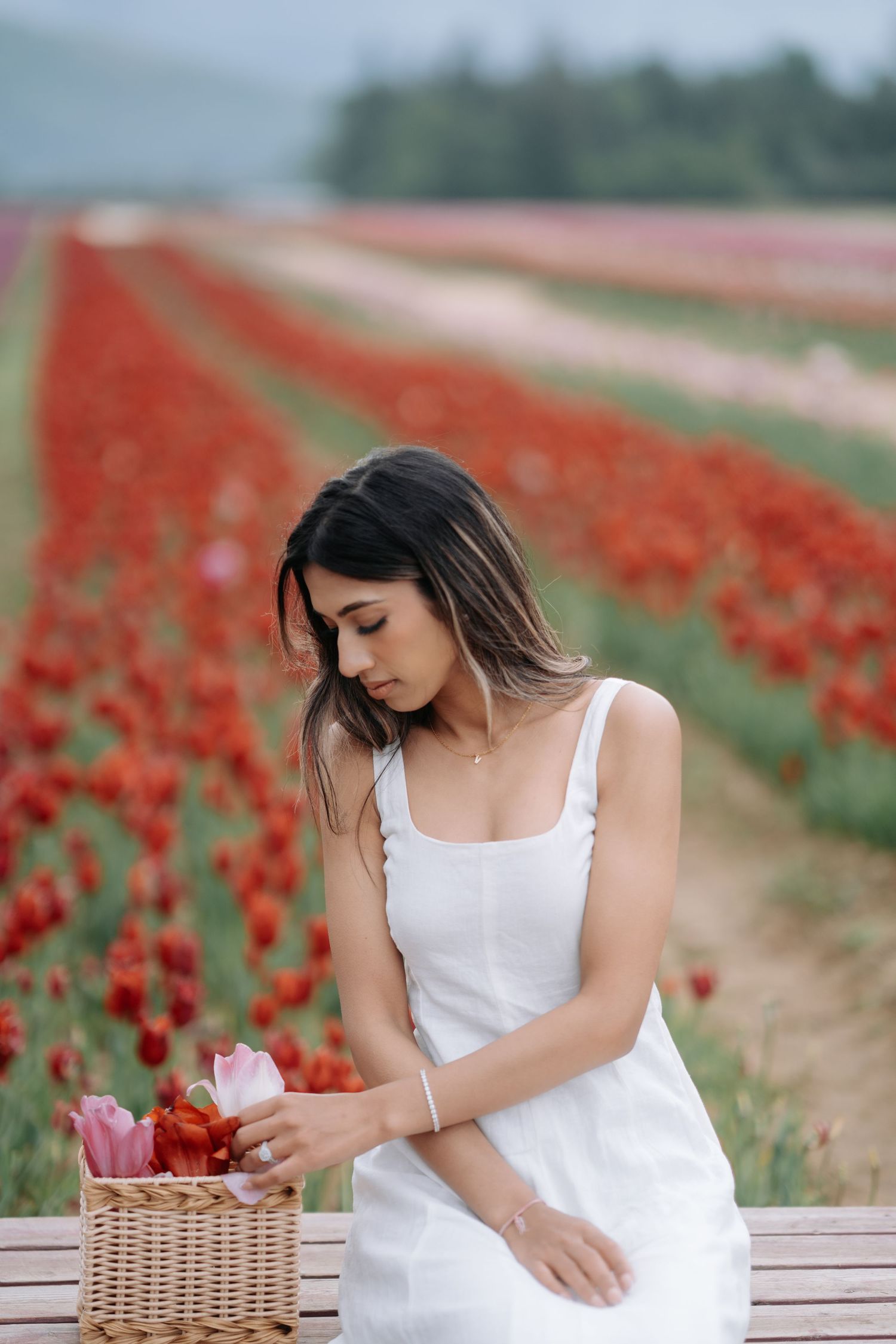 Woman in white dress sits thoughtfully in vibrant red poppy field with wicker basket on wooden bench.