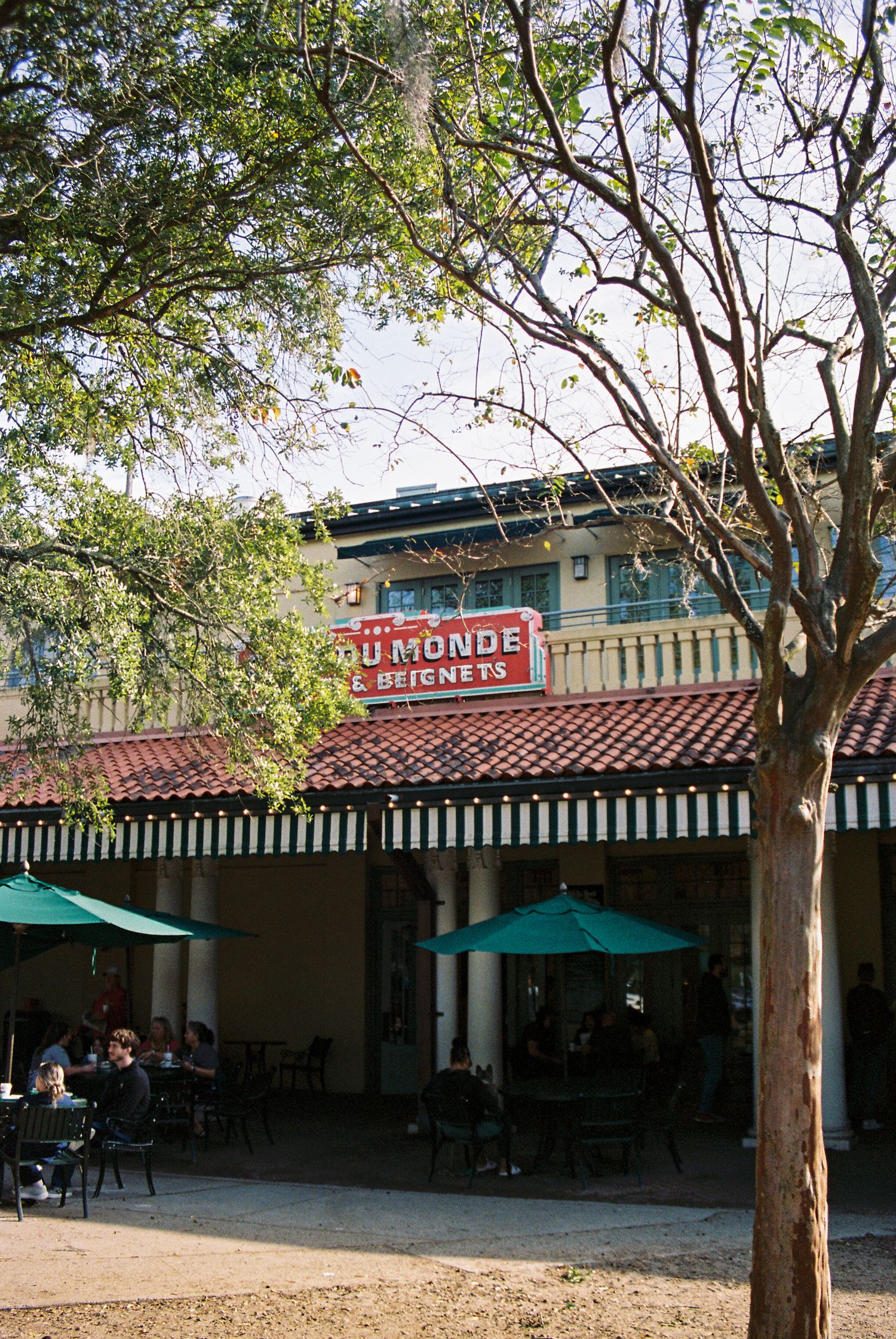 Vintage storefront with green awning and Du Monde signage shaded by large trees.