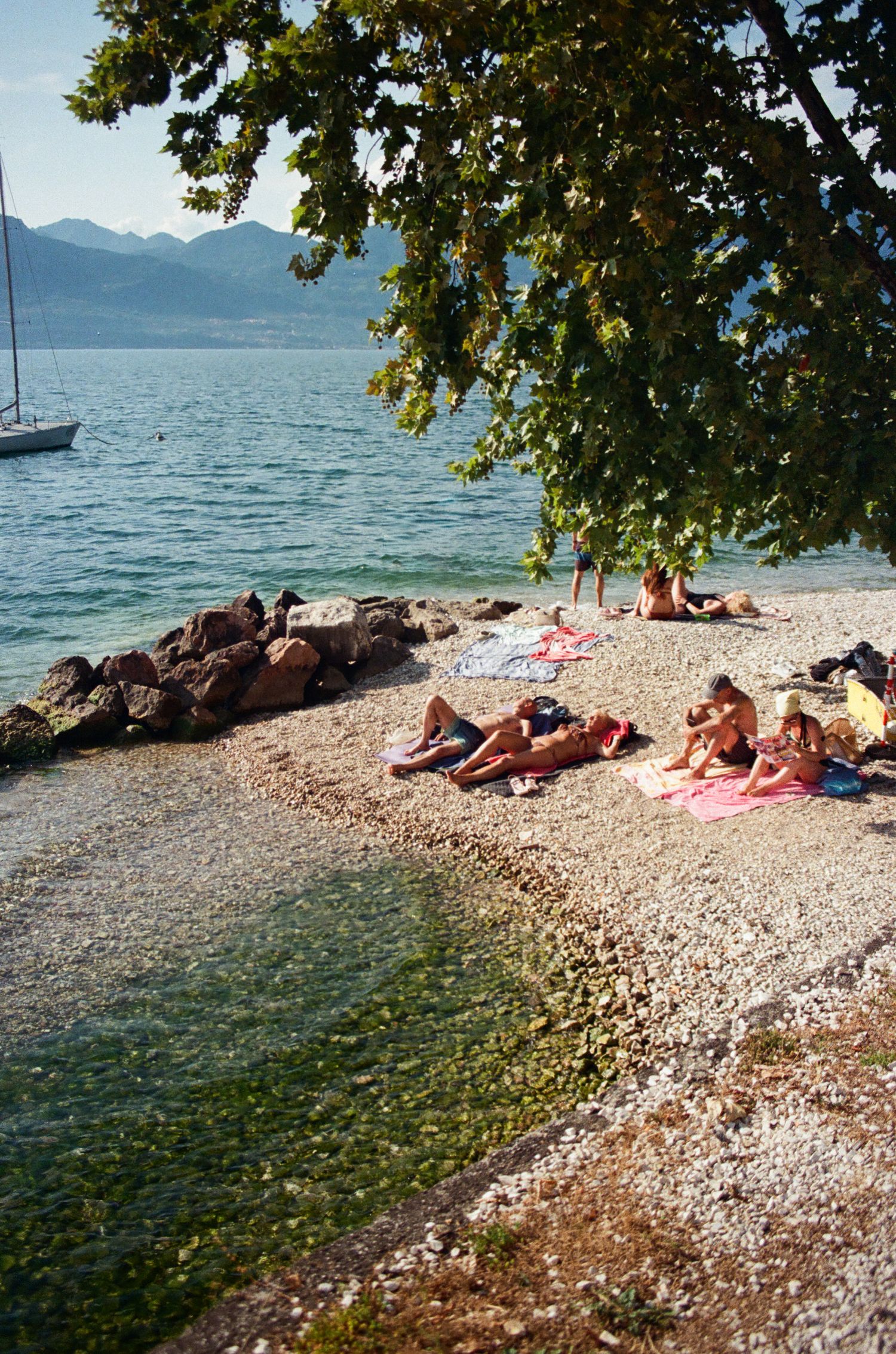 Beachgoers lounging on a rocky Mediterranean shoreline under tree shade.