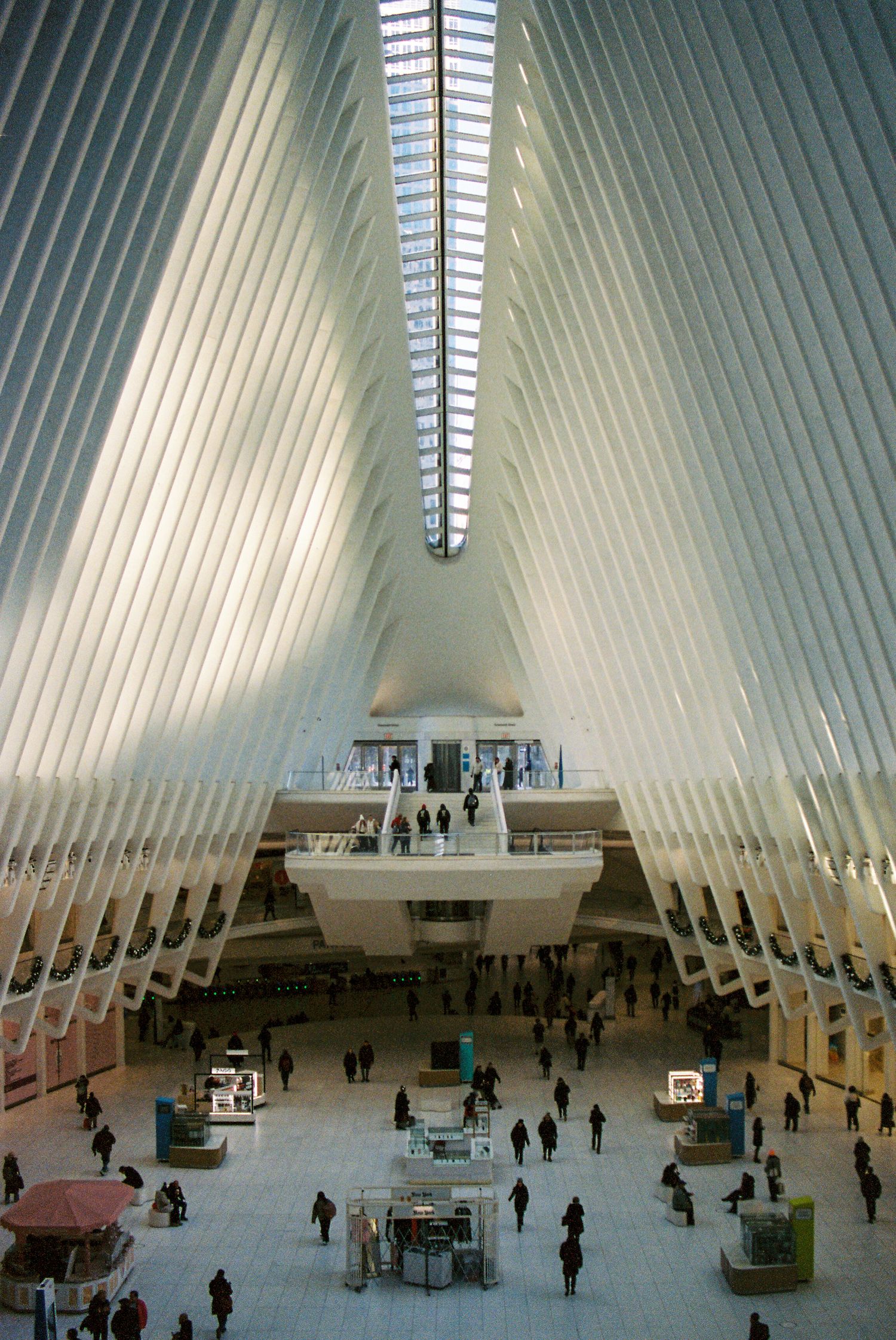 Modern architectural interior with dramatic white ribbed ceiling and open floor plan.