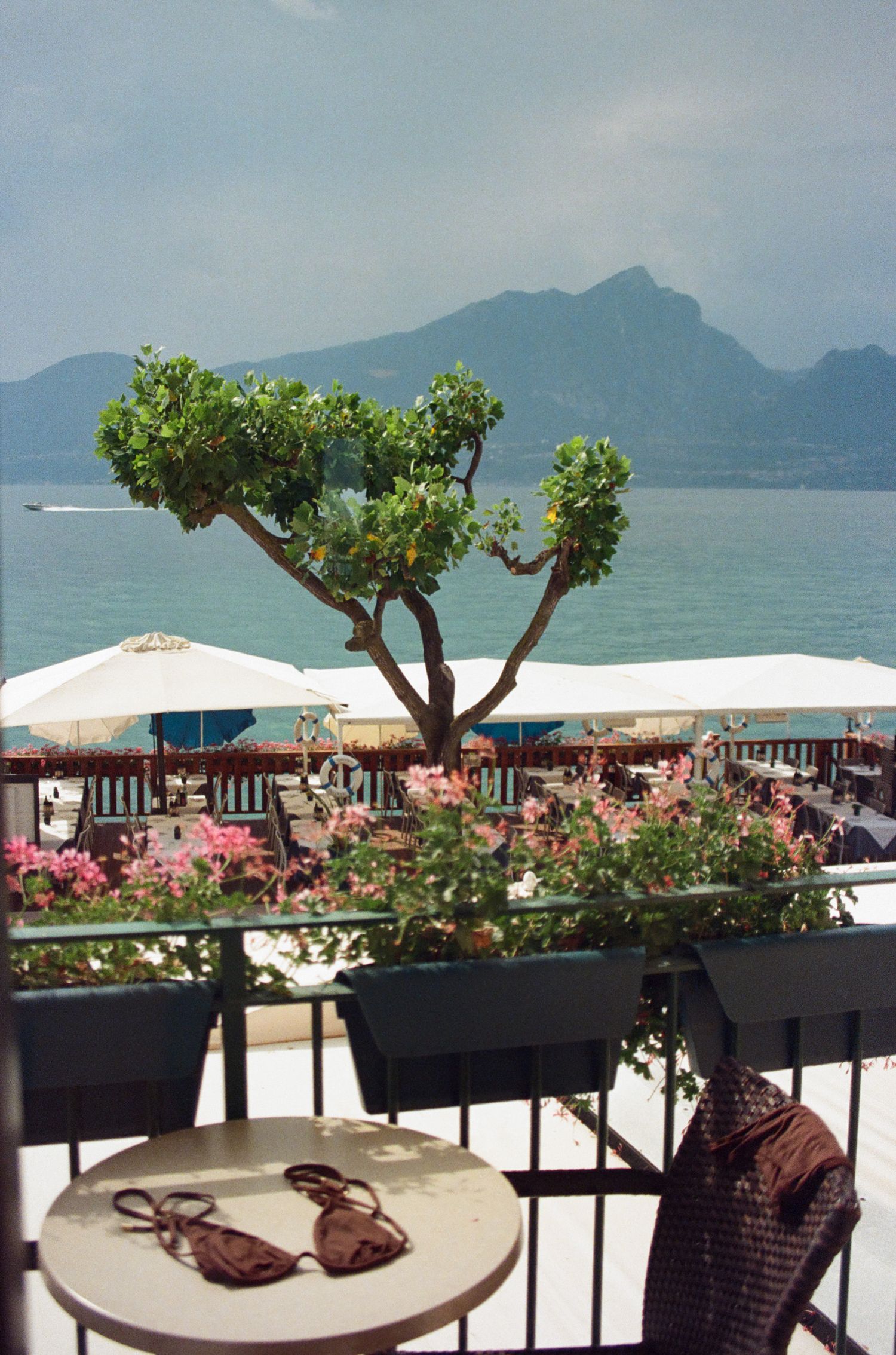 Cafe terrace overlooking lake with decorative tree and flower boxes with mountain backdrop.
