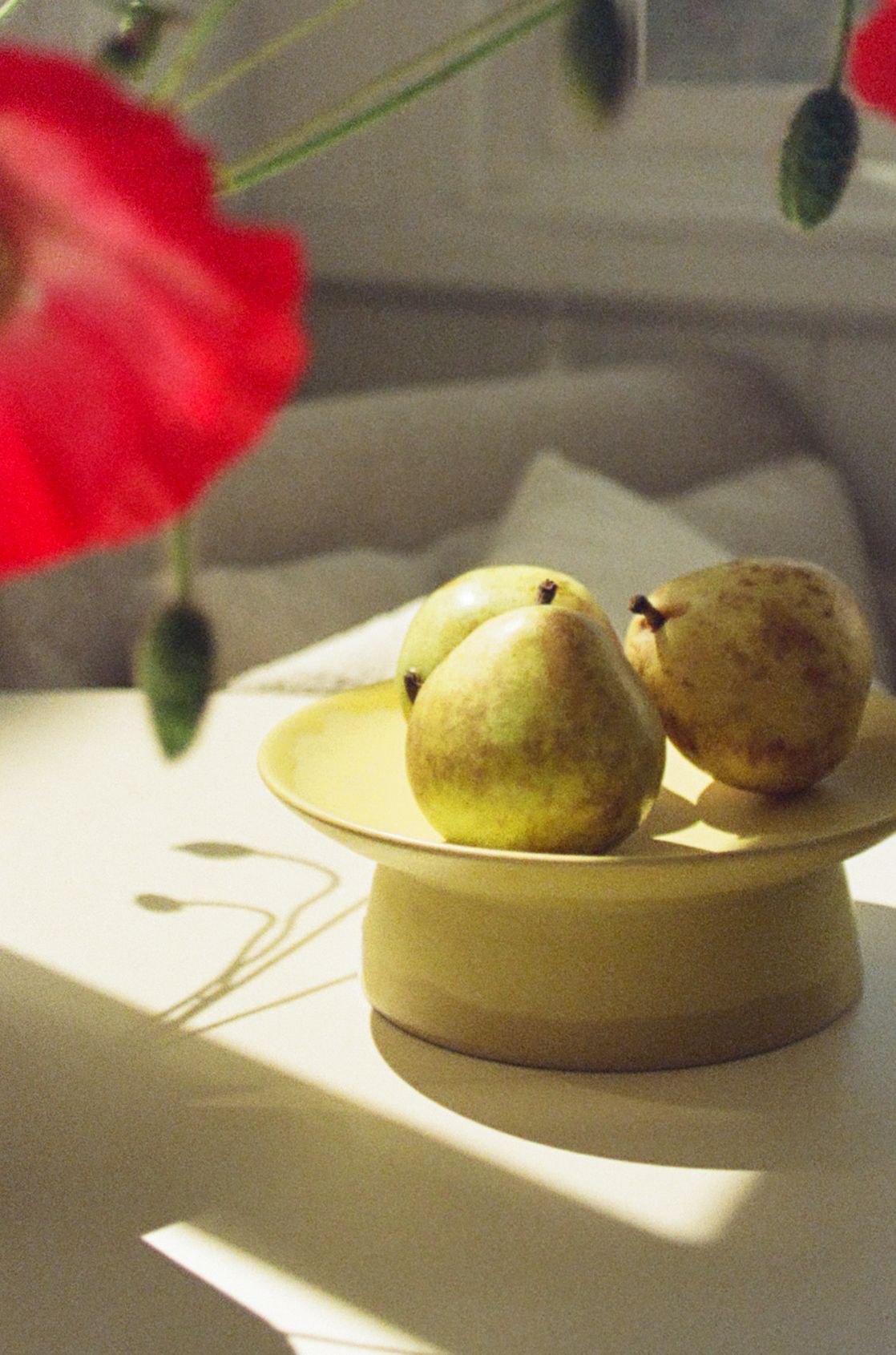 Fresh pears sit in warm sunlight on a simple ceramic plate.