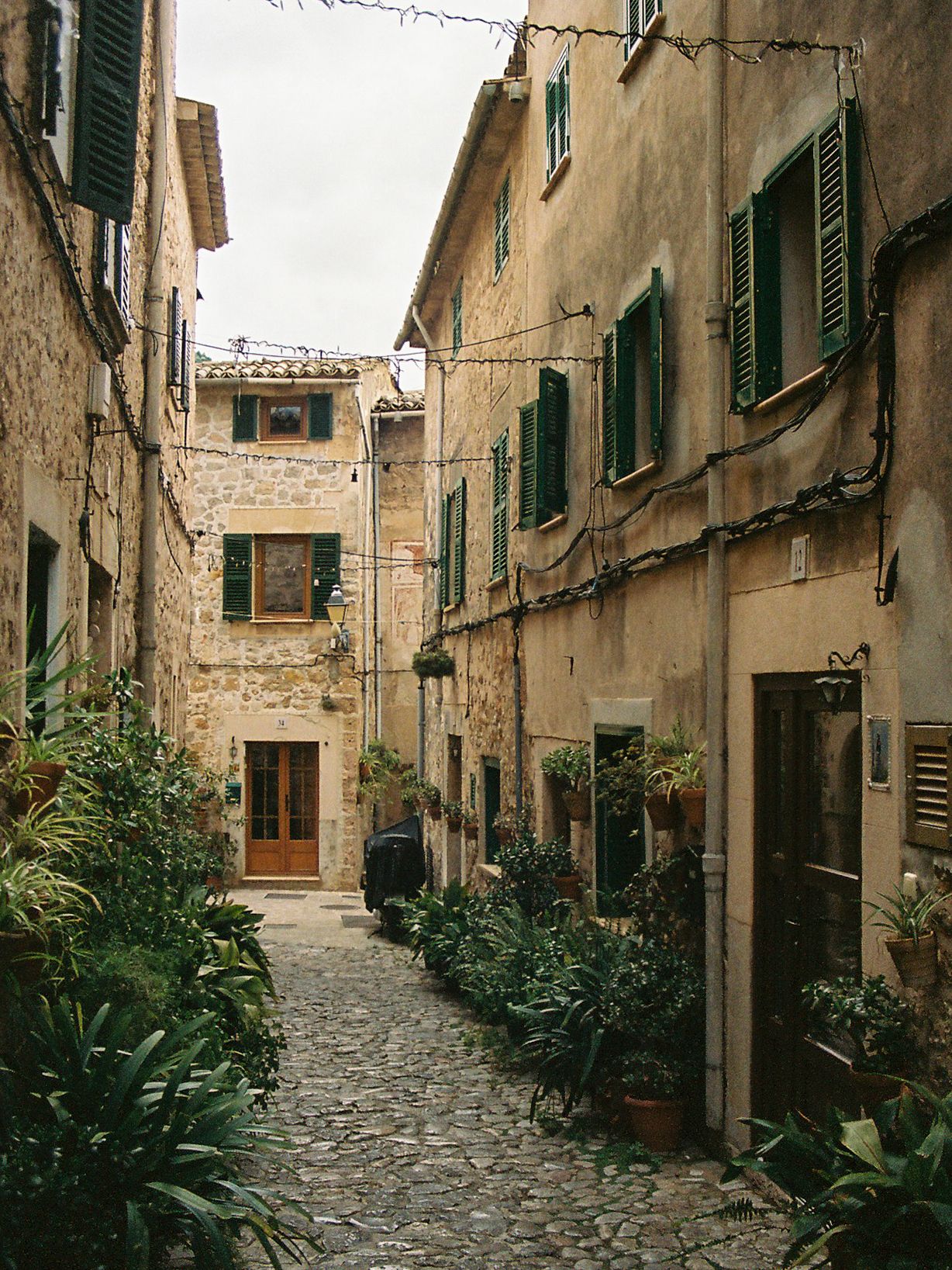 Narrow cobblestone alley in a Mediterranean village with stone buildings, green shutters, and lush potted plants lining the pathway.