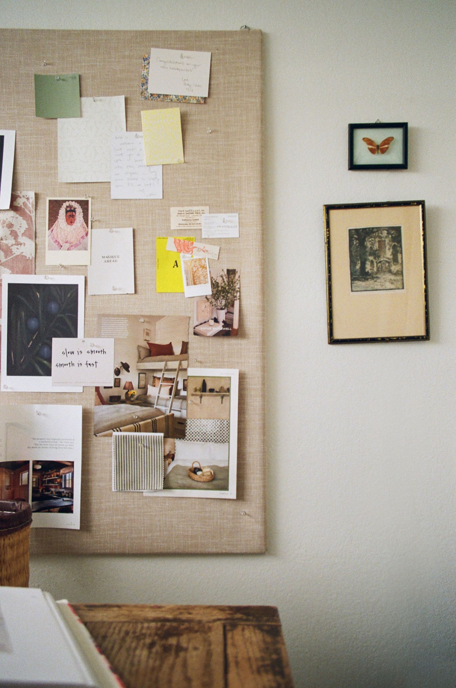 An image of a wall with various items pinned to a bulletin board, including photos, notes, and a framed butterfly specimen.