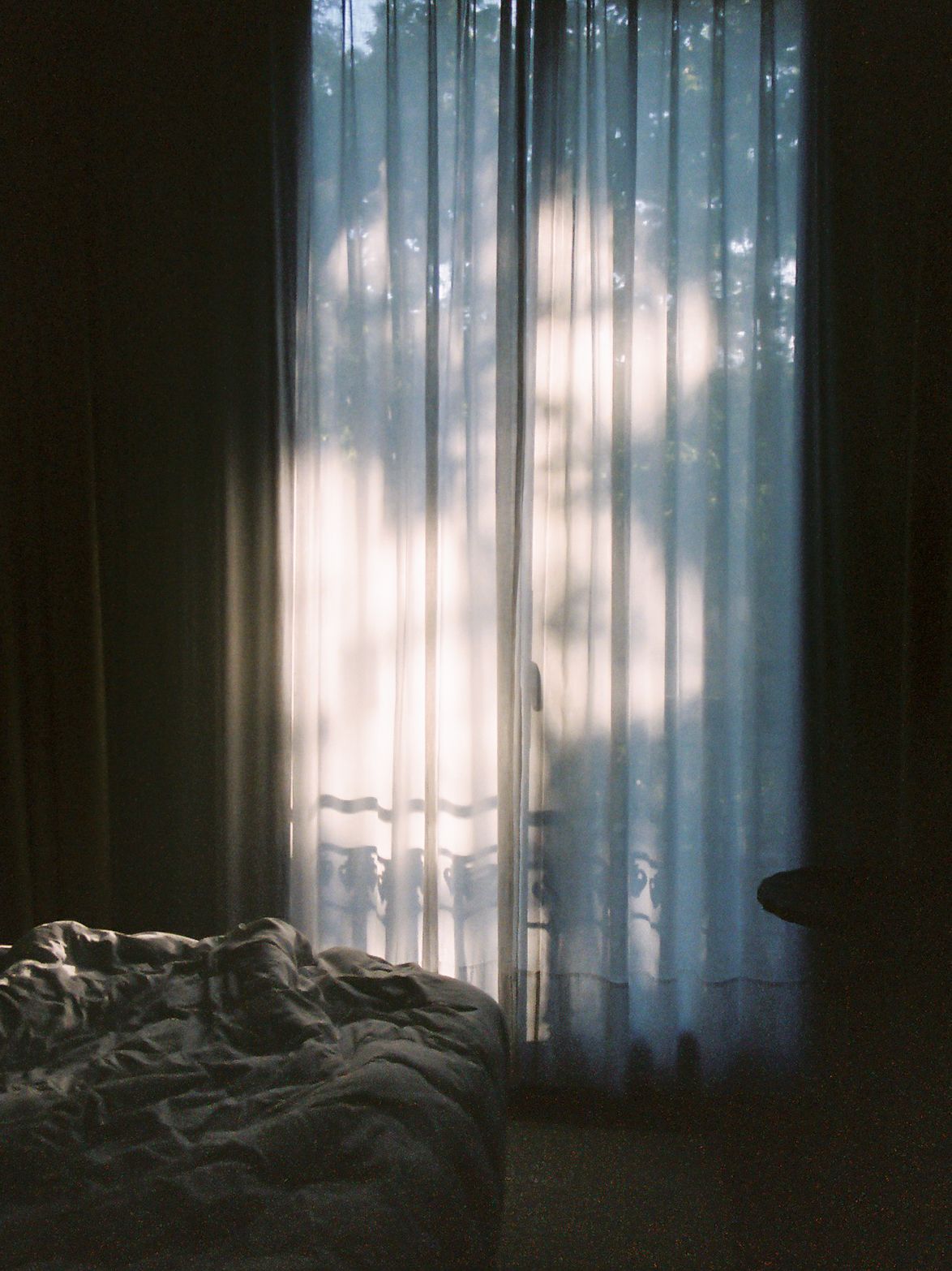 Sunlight filters through sheer curtains casting tree shadows on unmade bed in dimly lit bedroom.