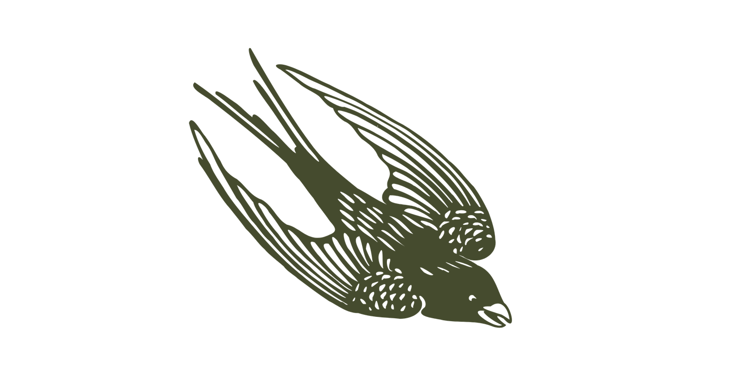 A simple olive green silhouette illustration of a flying swallow bird with detailed wing patterns.