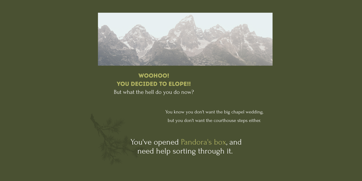 Elopement planning guide webpage with mountain banner, encouraging couples to open Pandora's box for sorting through next steps.