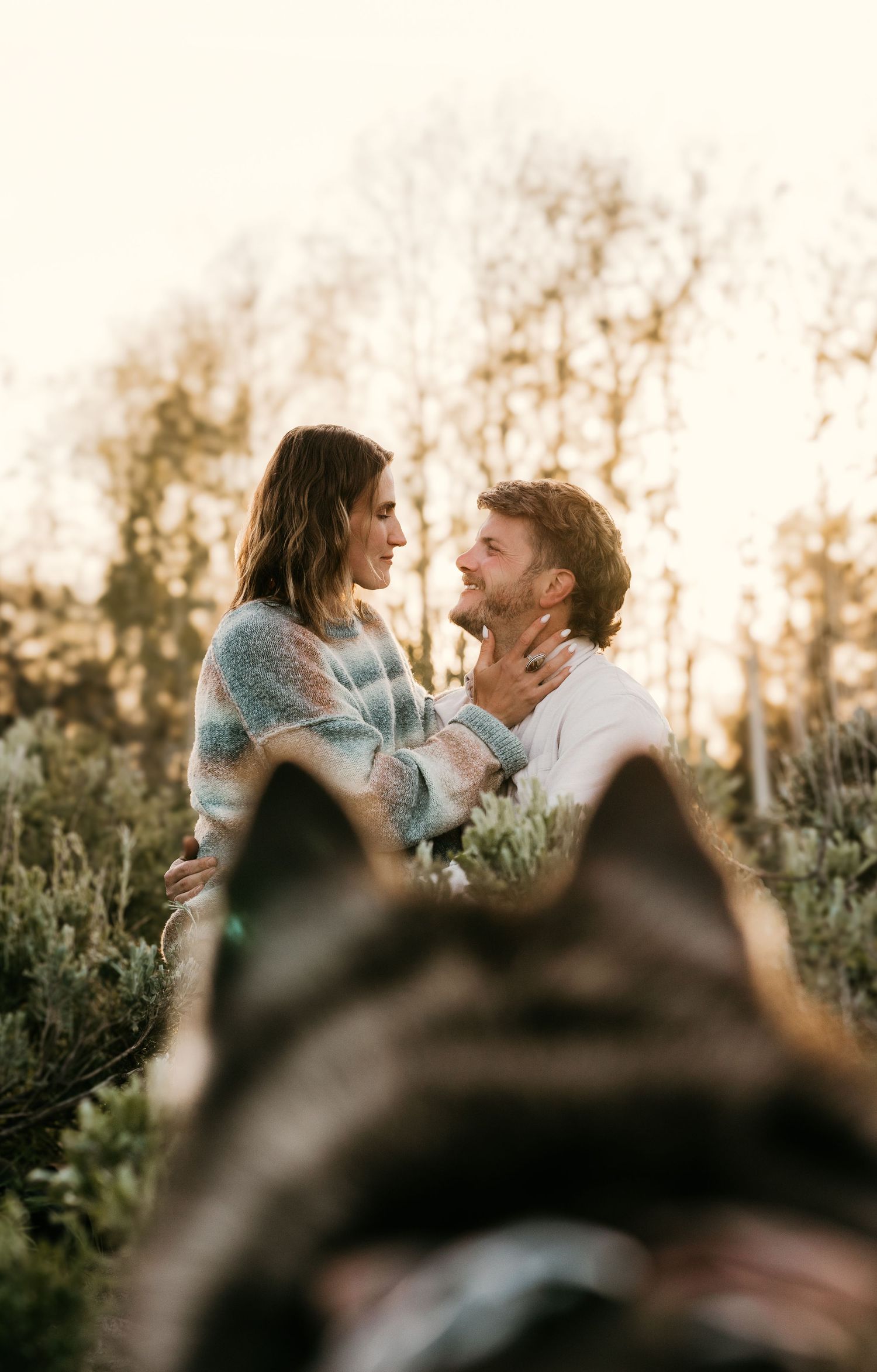 Couple gazing at each other in golden hour light with a husky dog in the foreground.