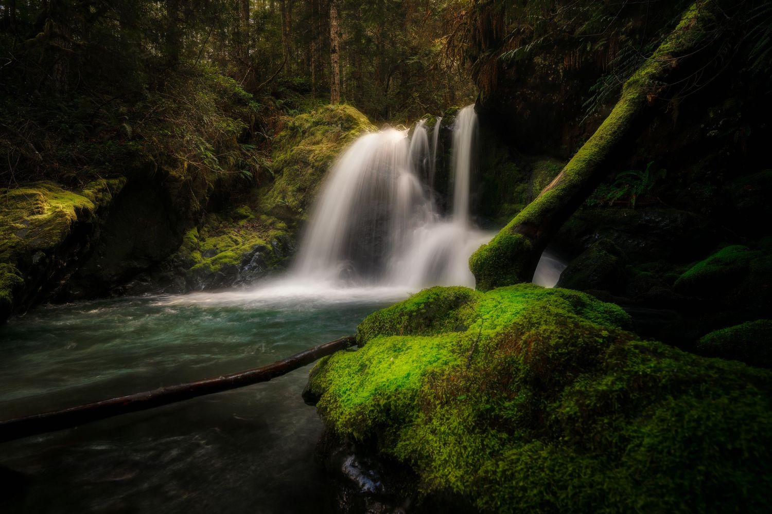 A serene waterfall cascades into a mossy green pool surrounded by lush forest in a tranquil Pacific Northwest wilderness scene.