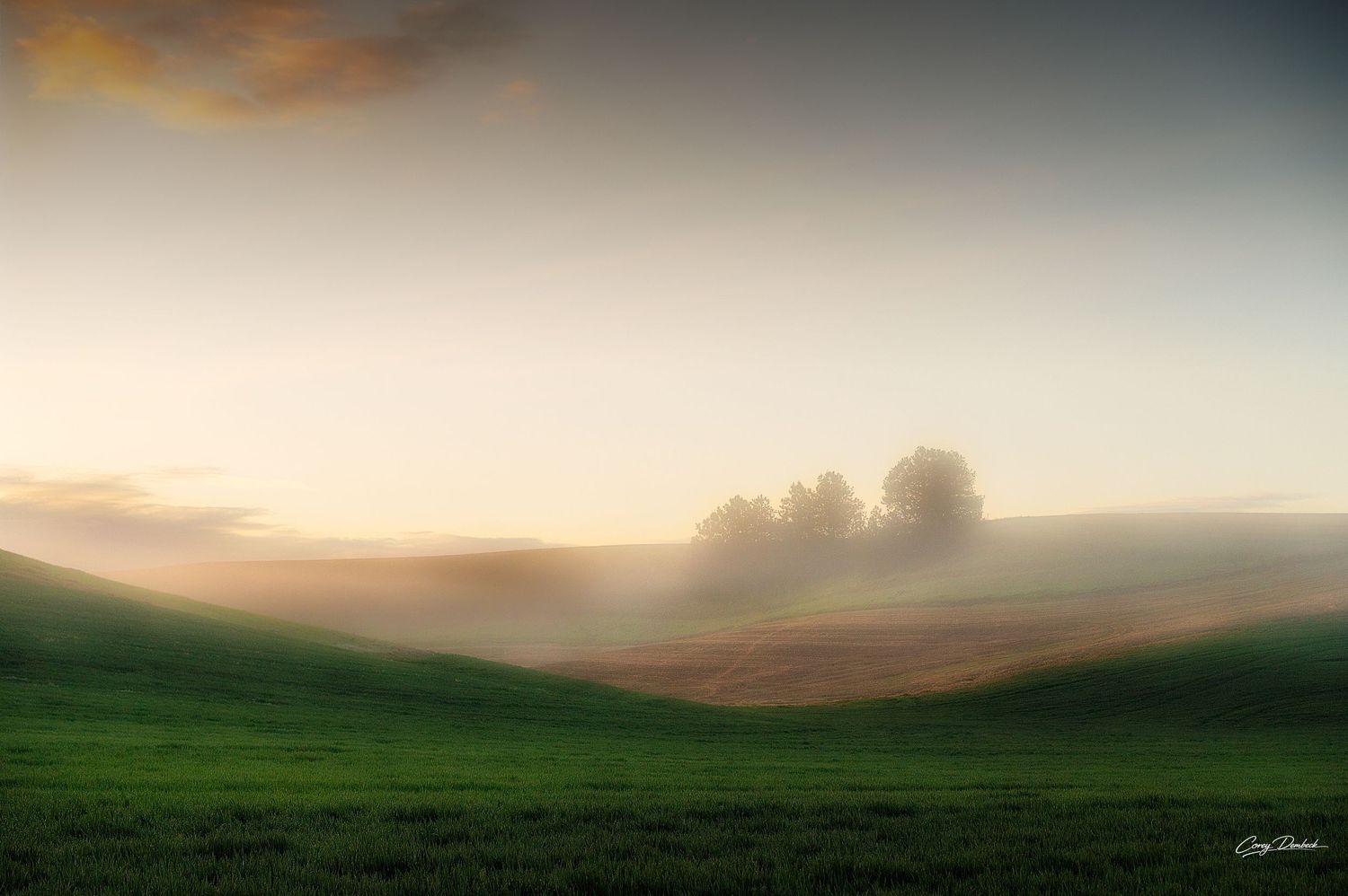 Misty green rolling hills at sunrise with silhouetted trees emerging through golden fog in a serene pastoral landscape.
