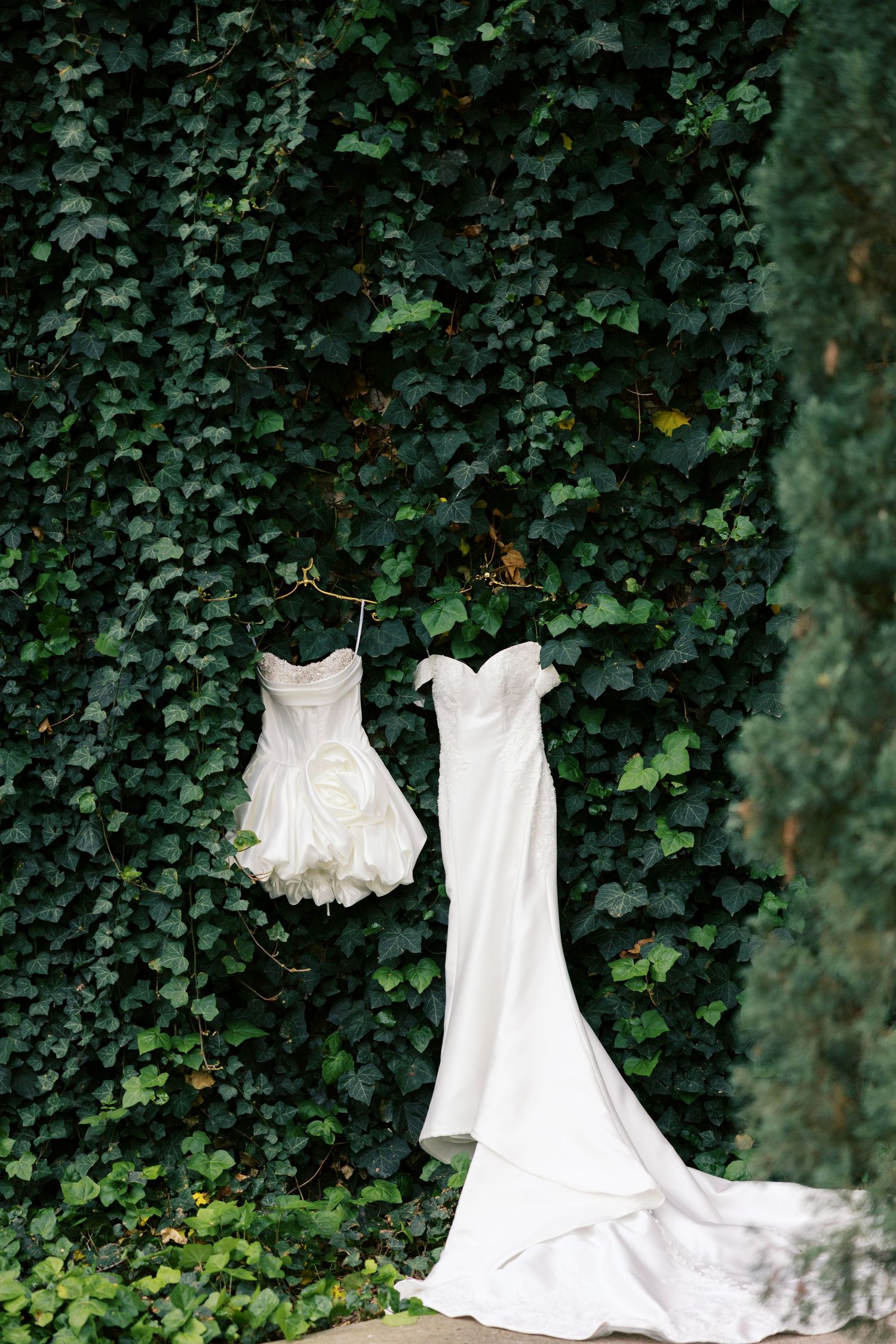 Two white wedding dresses hanging on an ivy-covered wall, featuring a ball gown and sleek off-shoulder gown.