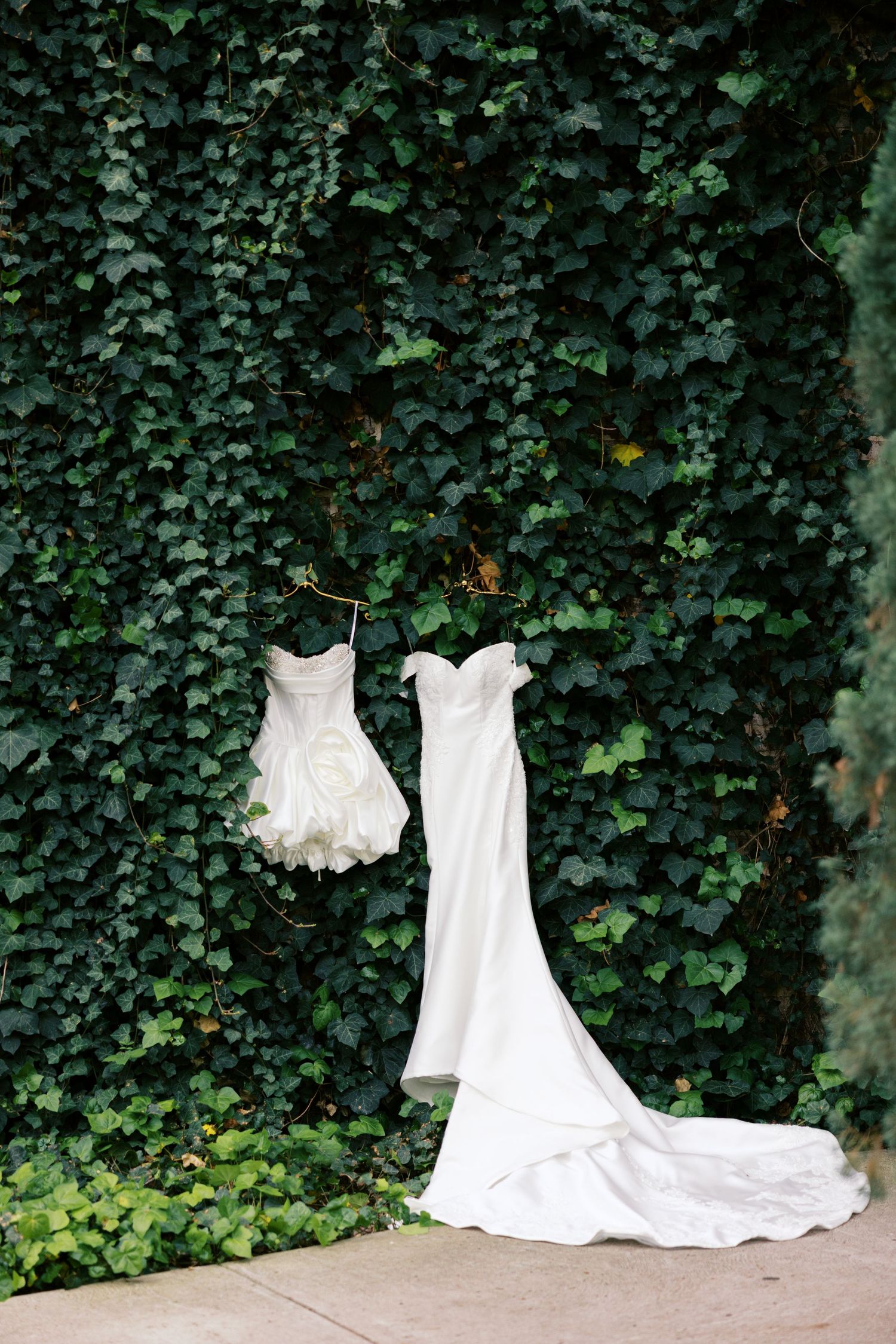 Two white wedding dresses hanging on an ivy-covered wall, including a bridal gown with train and a flower girl dress.