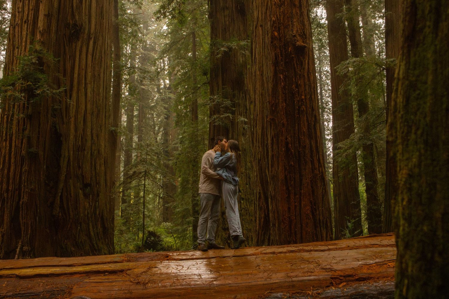 couple kisses in redwood national park in california